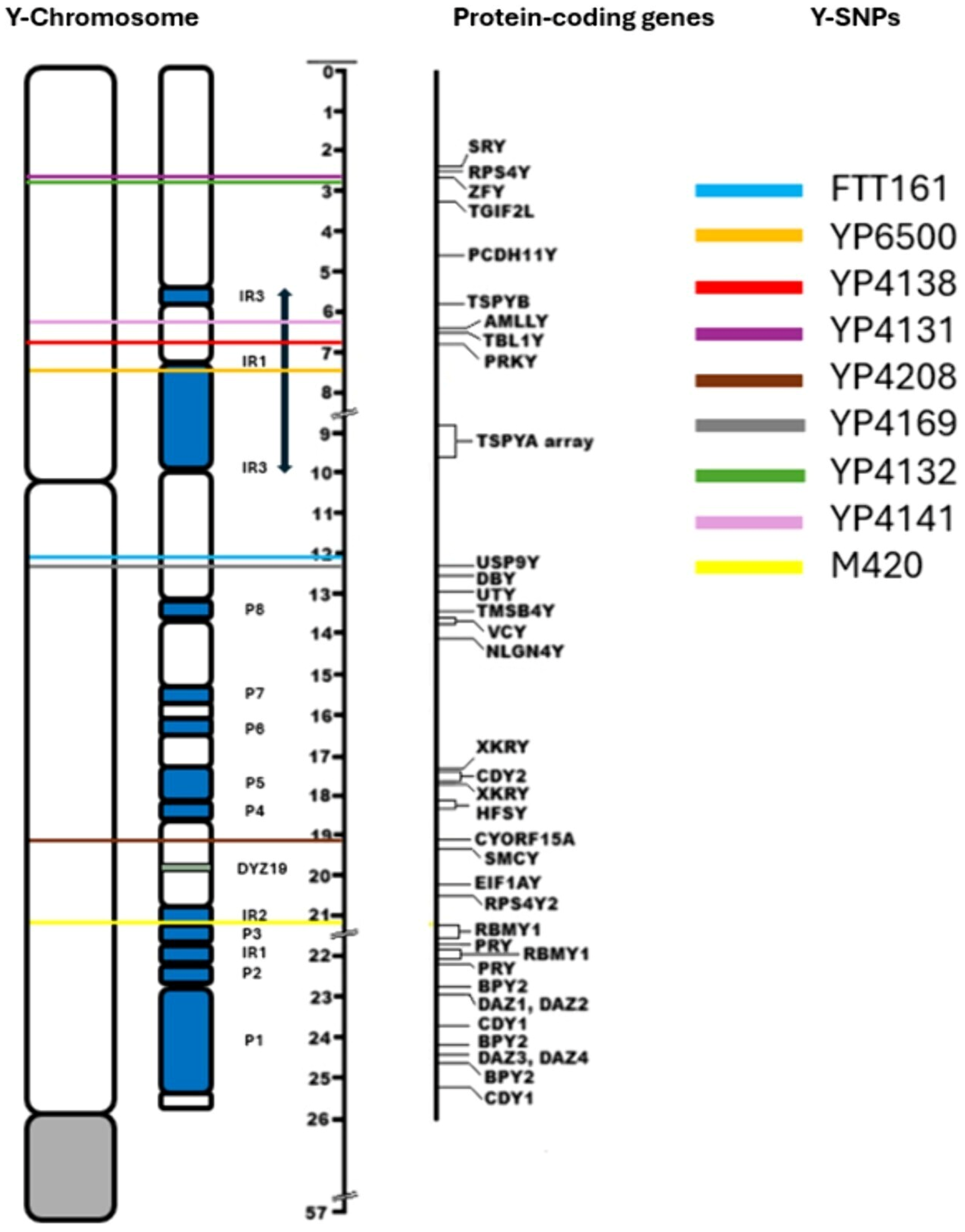 Genealogy 09 00132 g003