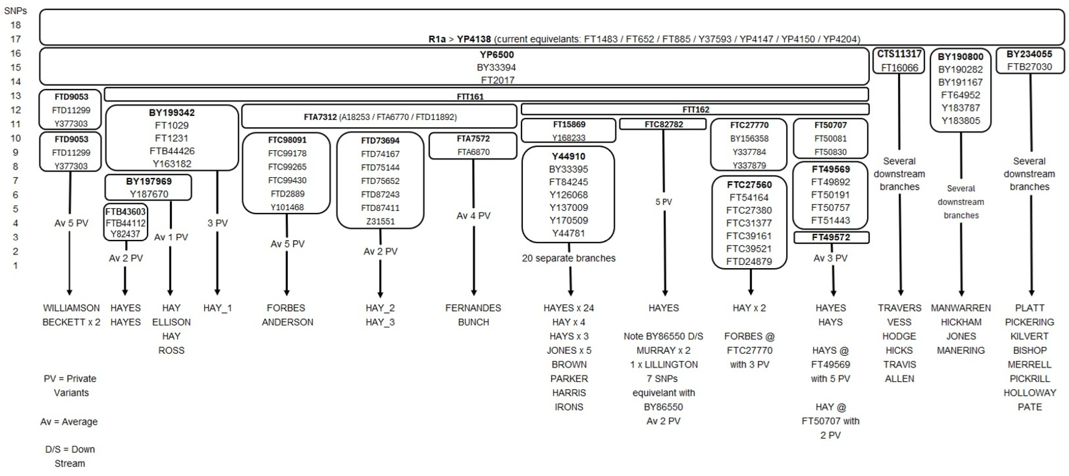 Genealogy 09 00132 g005