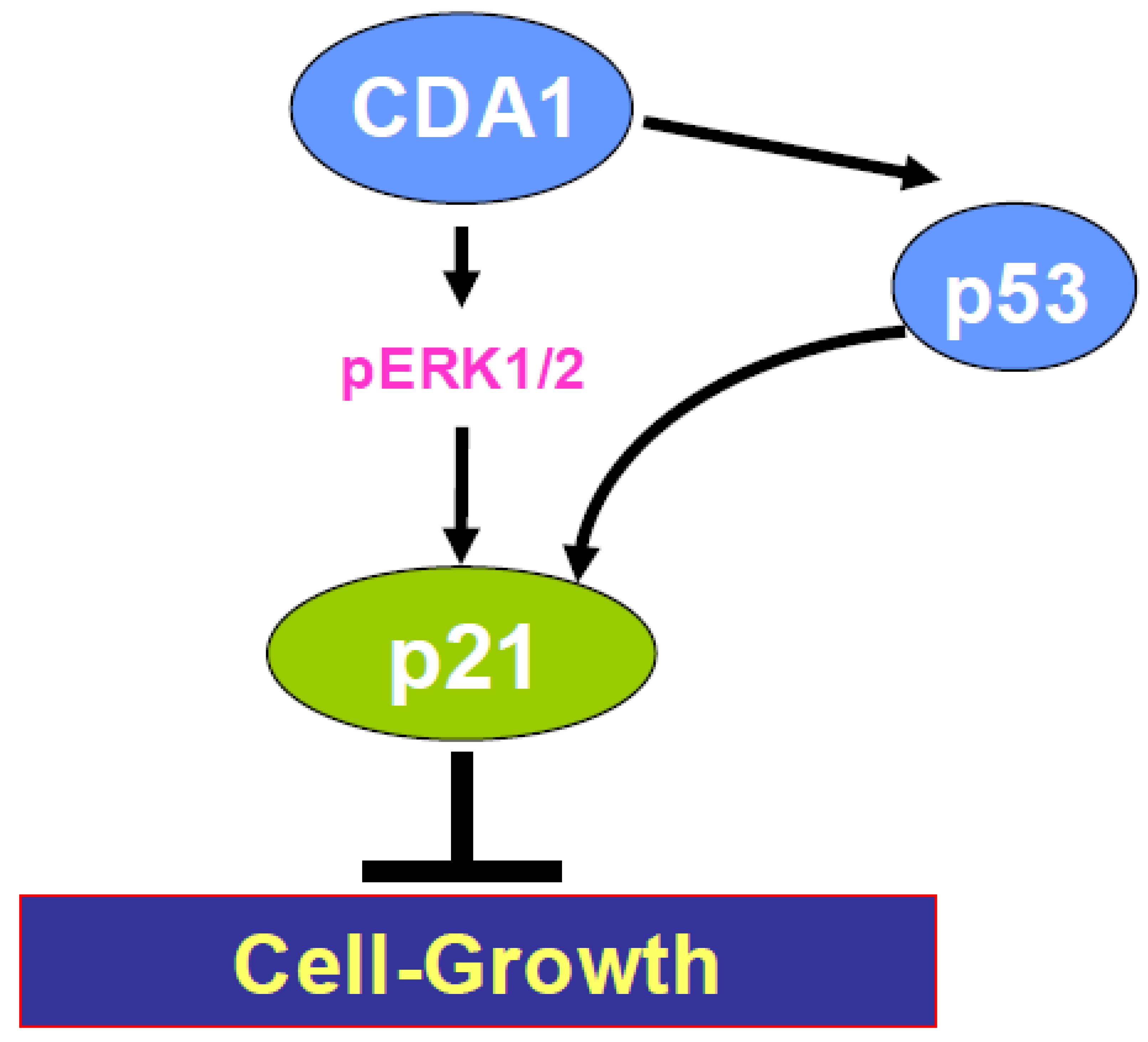 Genes 01 00335 g002 550