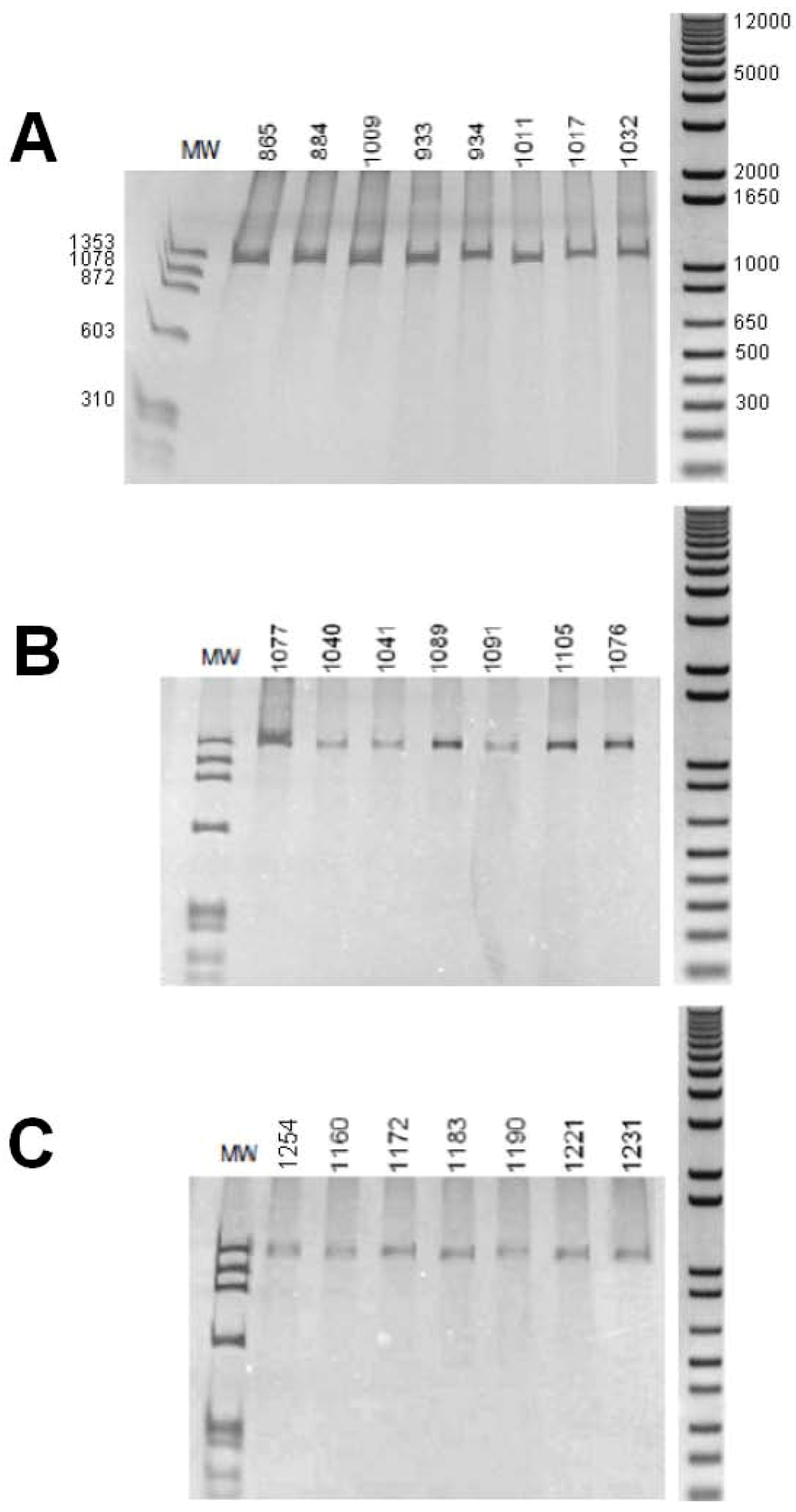 Genes 01 00357 g001