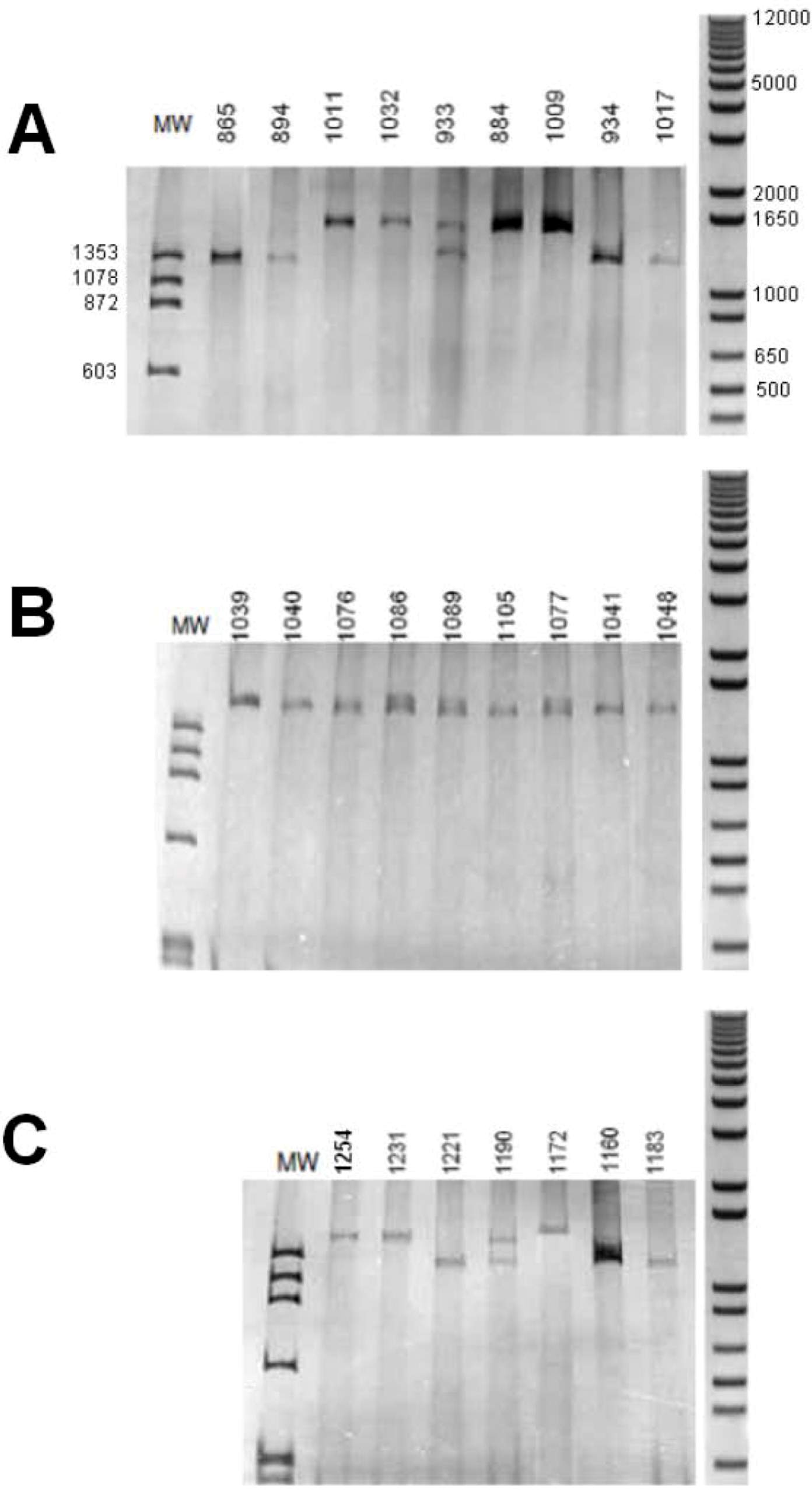 Genes 01 00357 g002