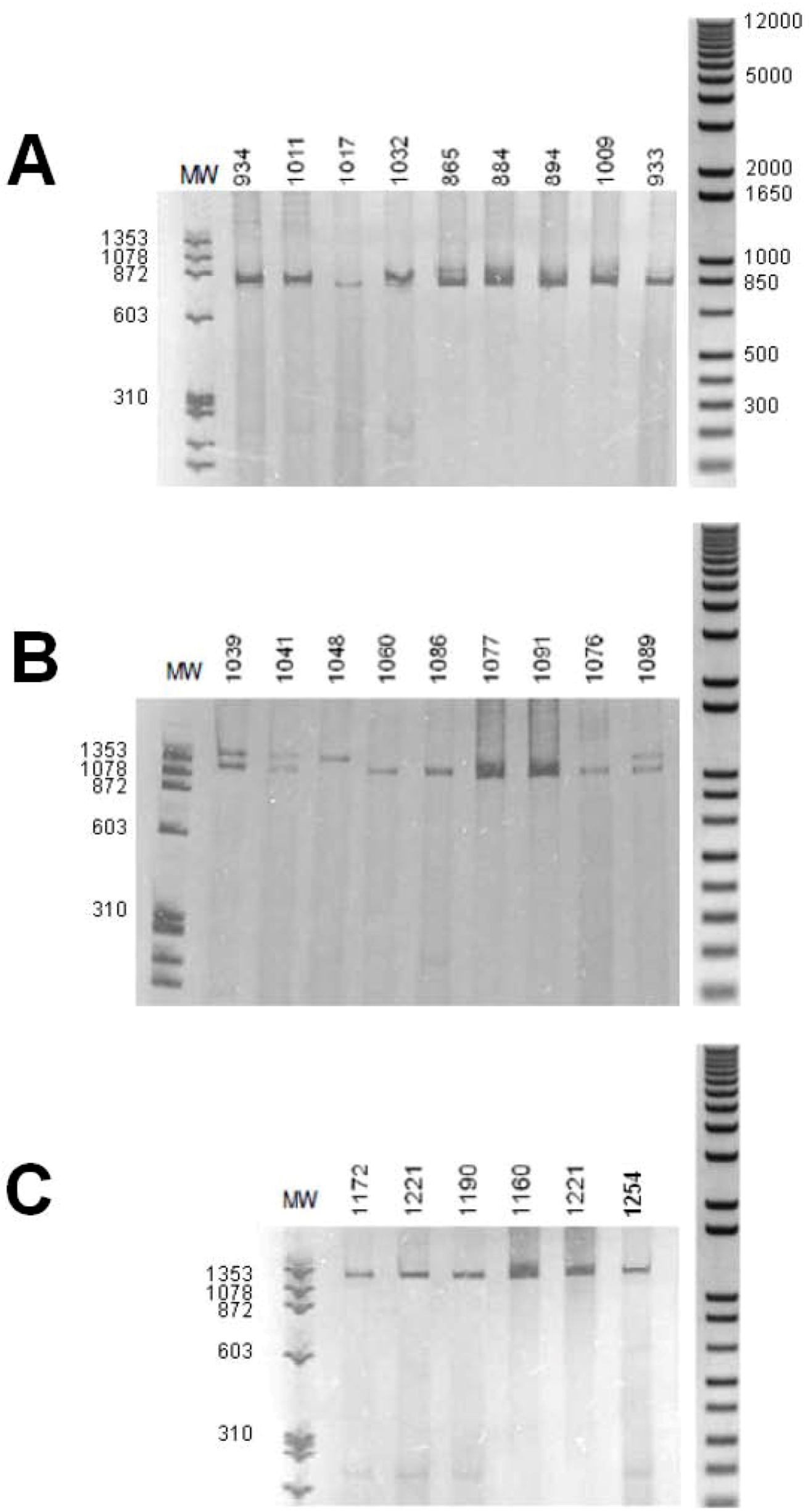 Genes 01 00357 g003