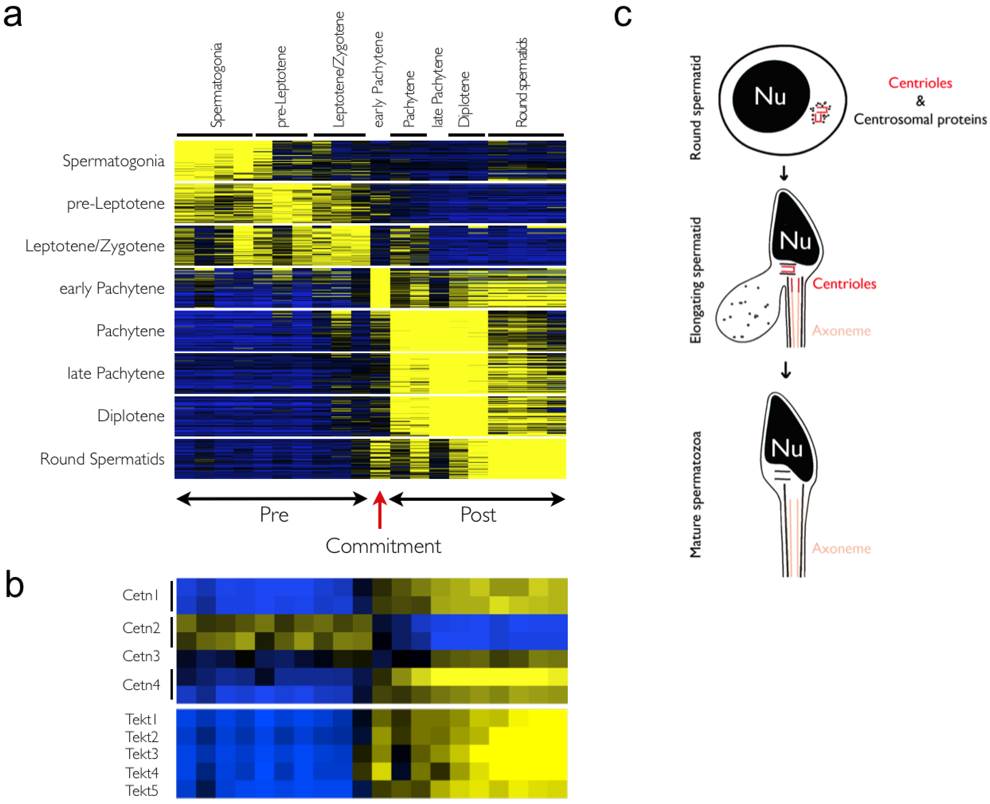 Genes 01 00469 g004