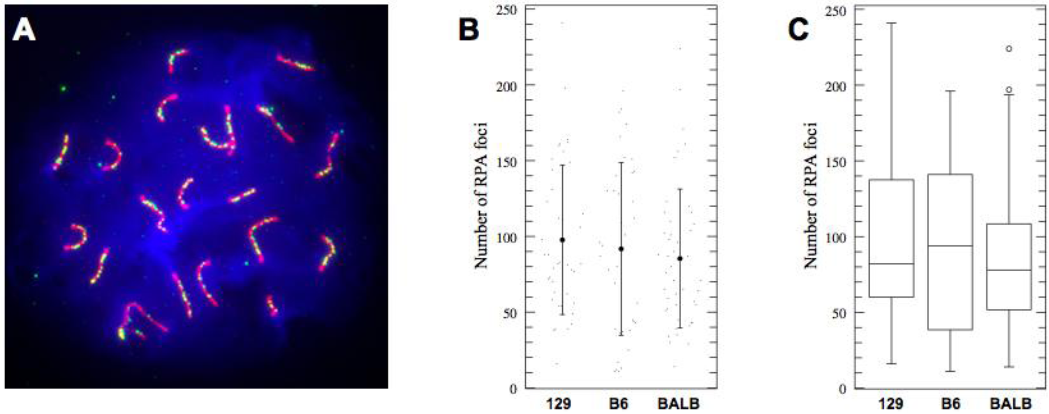 Genes 01 00505 g003 550