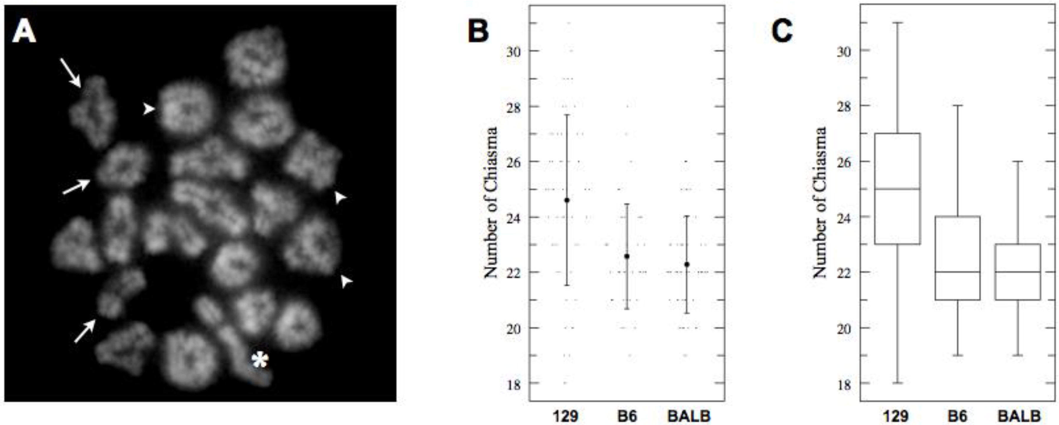 Genes 01 00505 g004 550