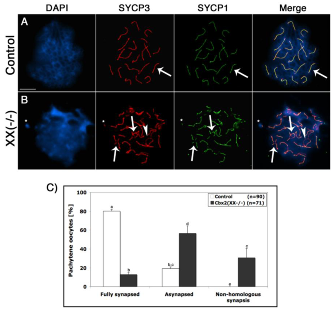 Genes 02 00059f3 1024