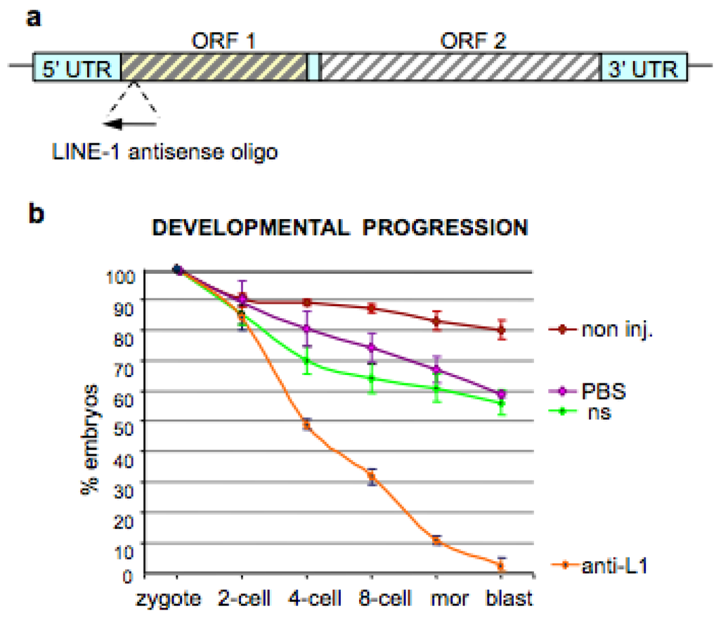Genes 02 00360f2a