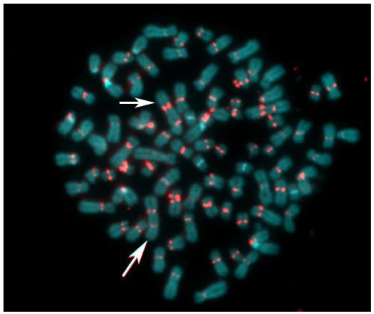 Genes 02 00397f7 1024