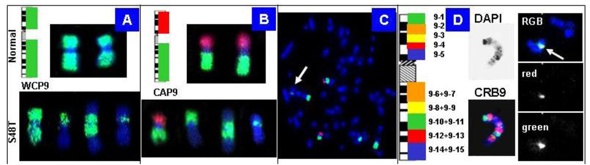 Genes 02 00397f8 1024