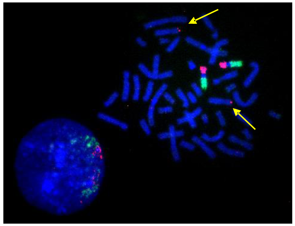 Genes 02 00397f9 1024