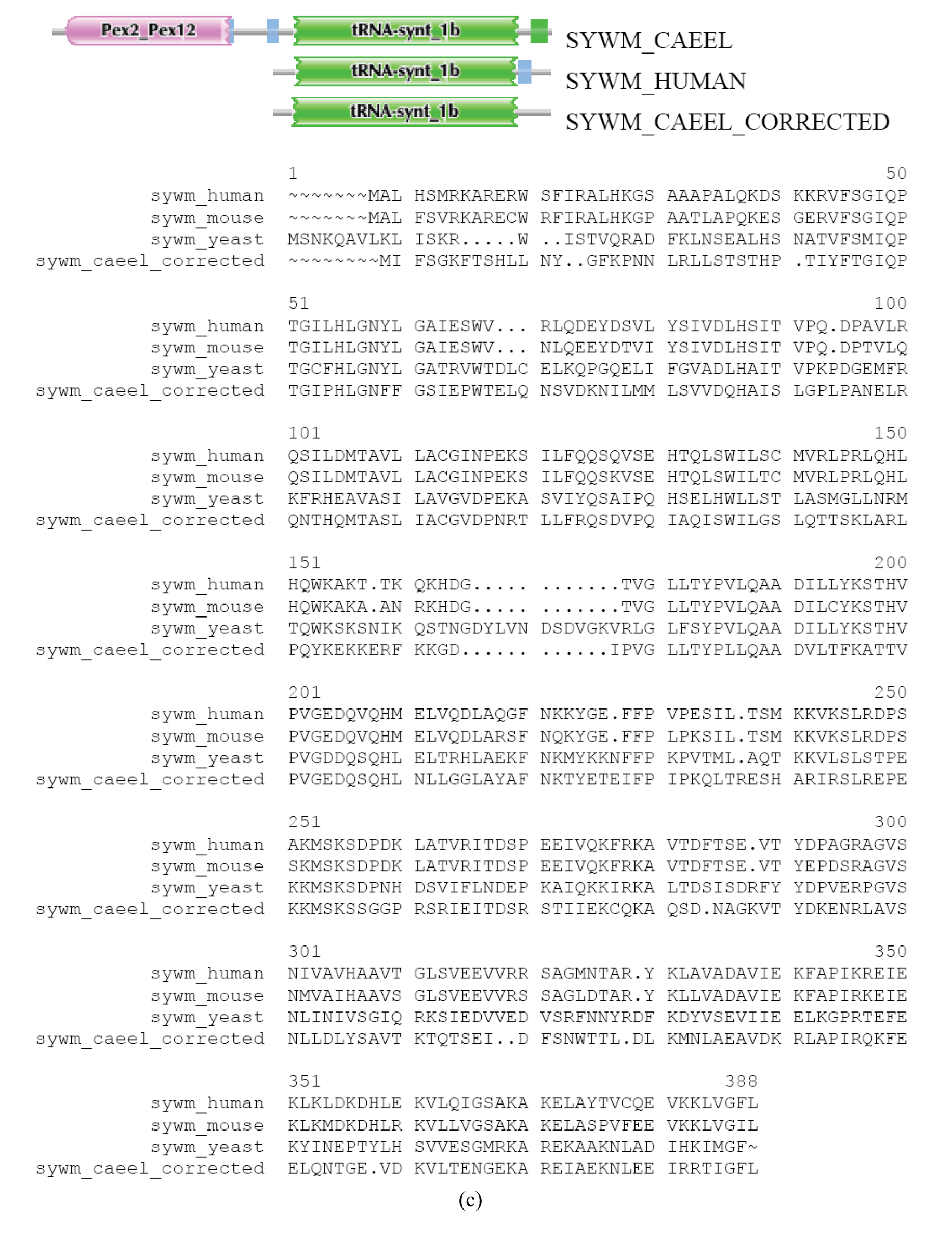 Genes 02 00599f2d 550