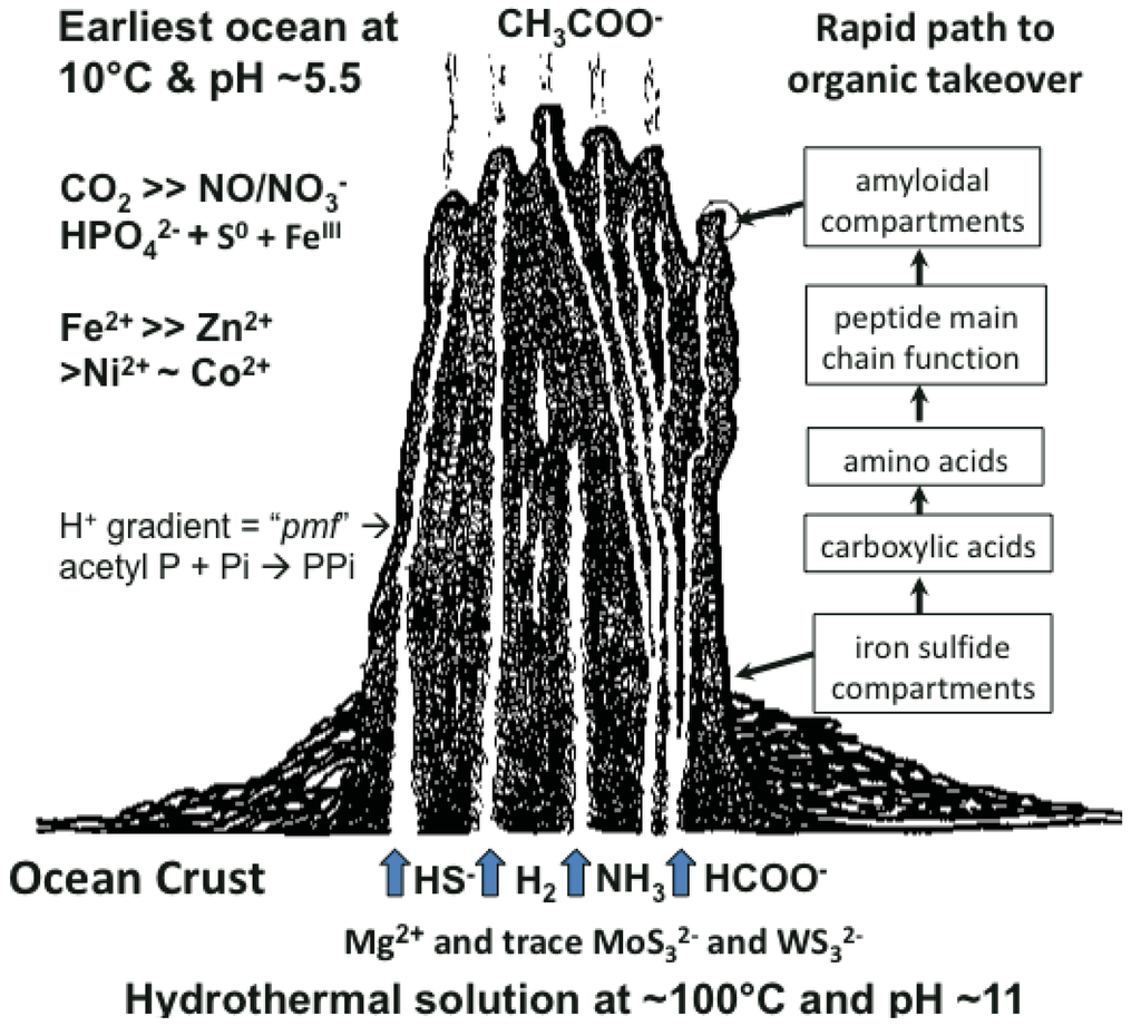 Genes 02 00671f1 1024