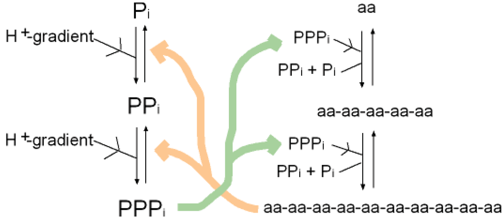 Genes 02 00671f4 1024