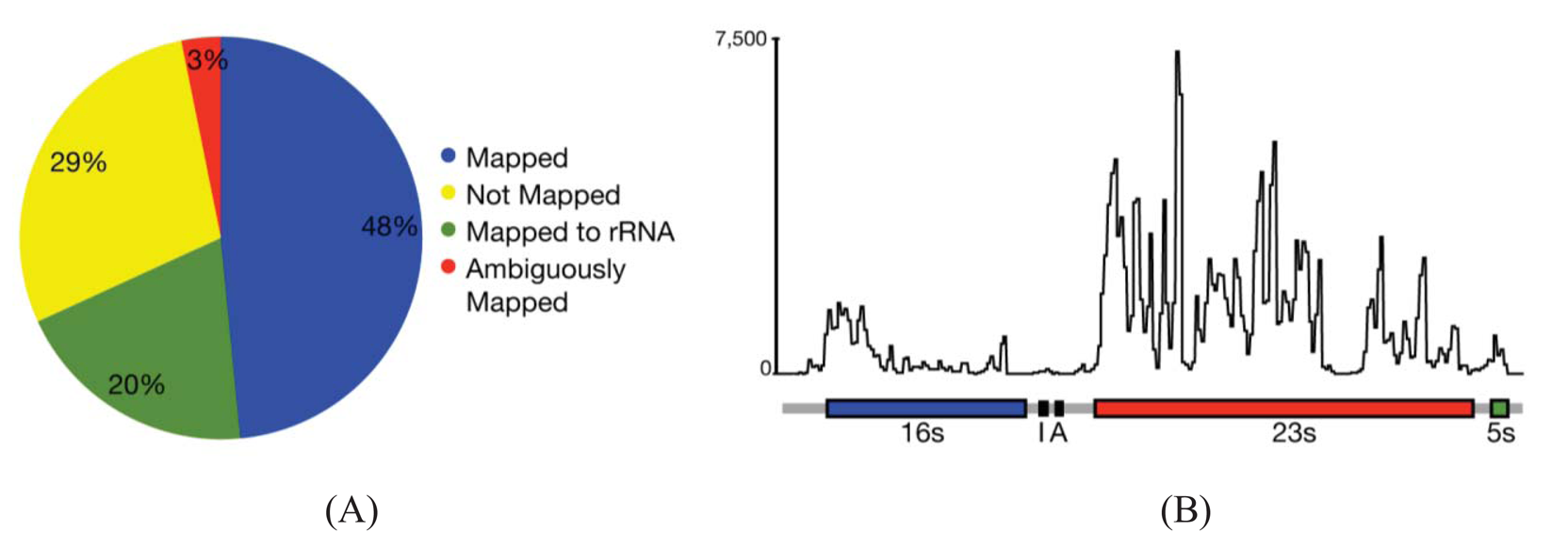 Genes 02 00689f1 1024