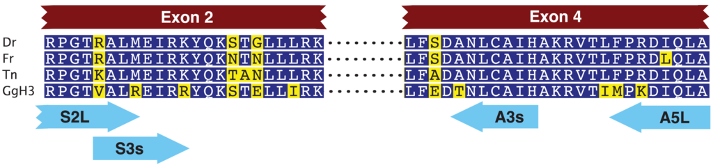 Genes 02 00829f1 1024