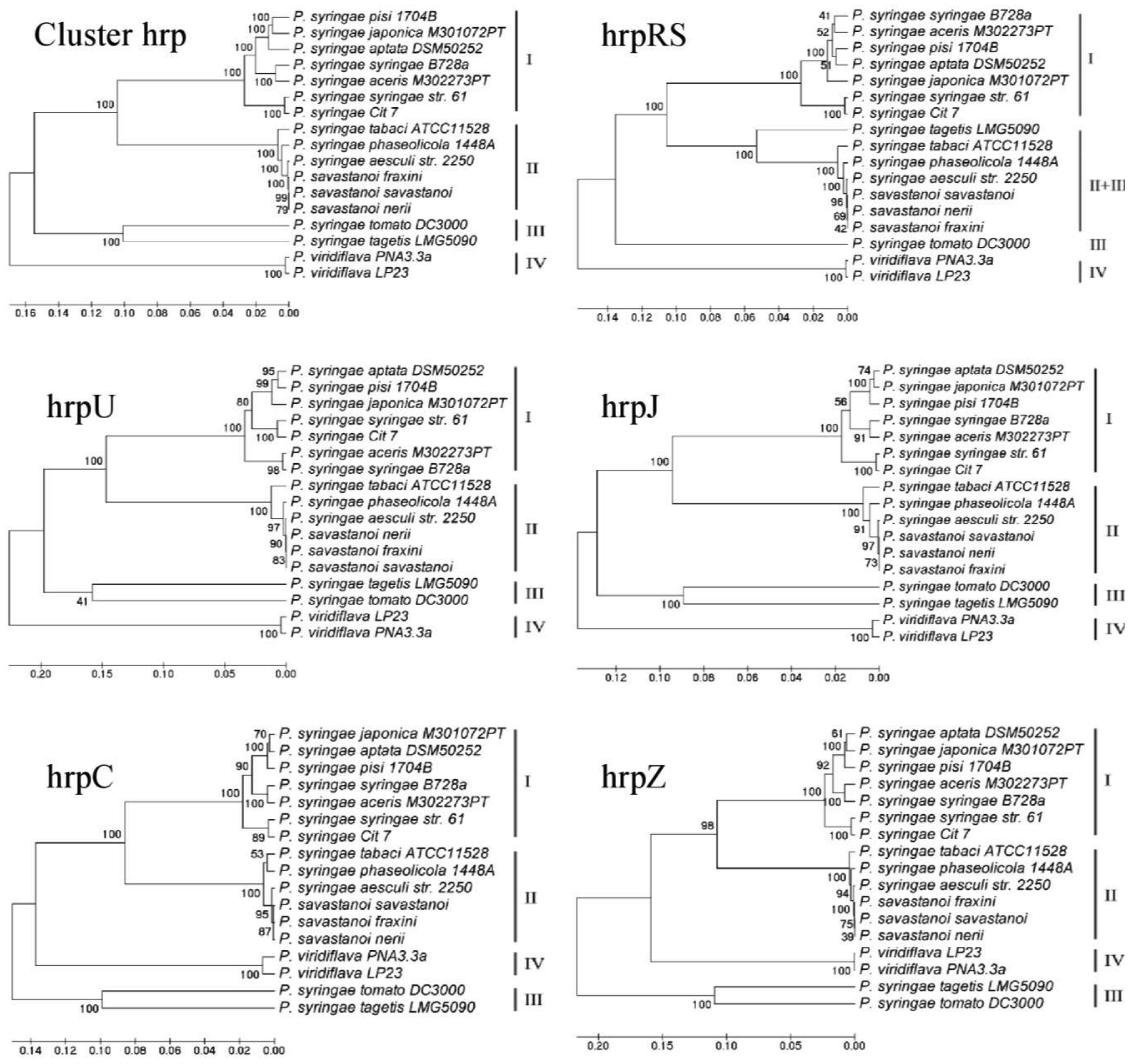 Genes 02 00957f2 1024