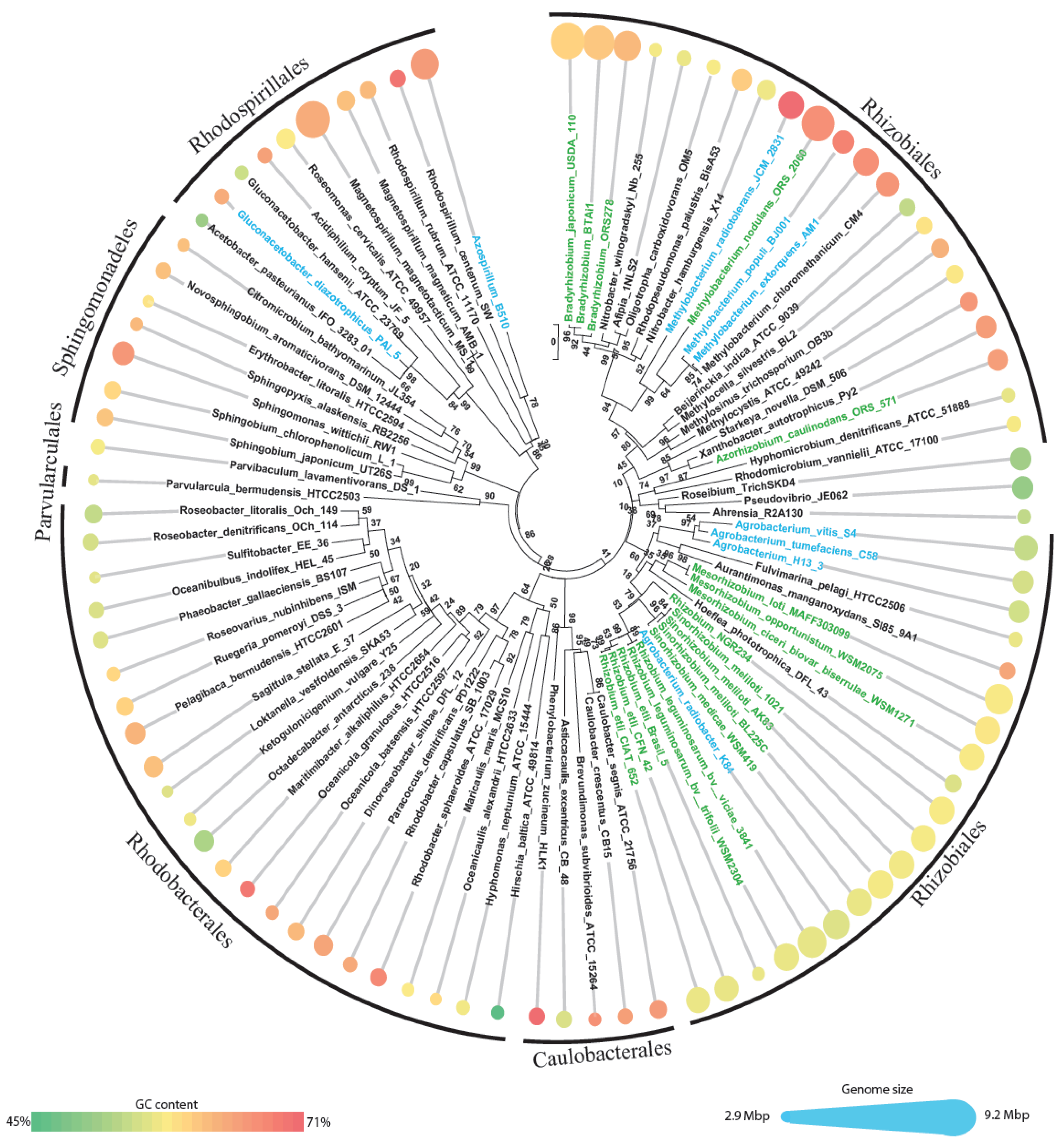 Genes 02 01017f1 1024