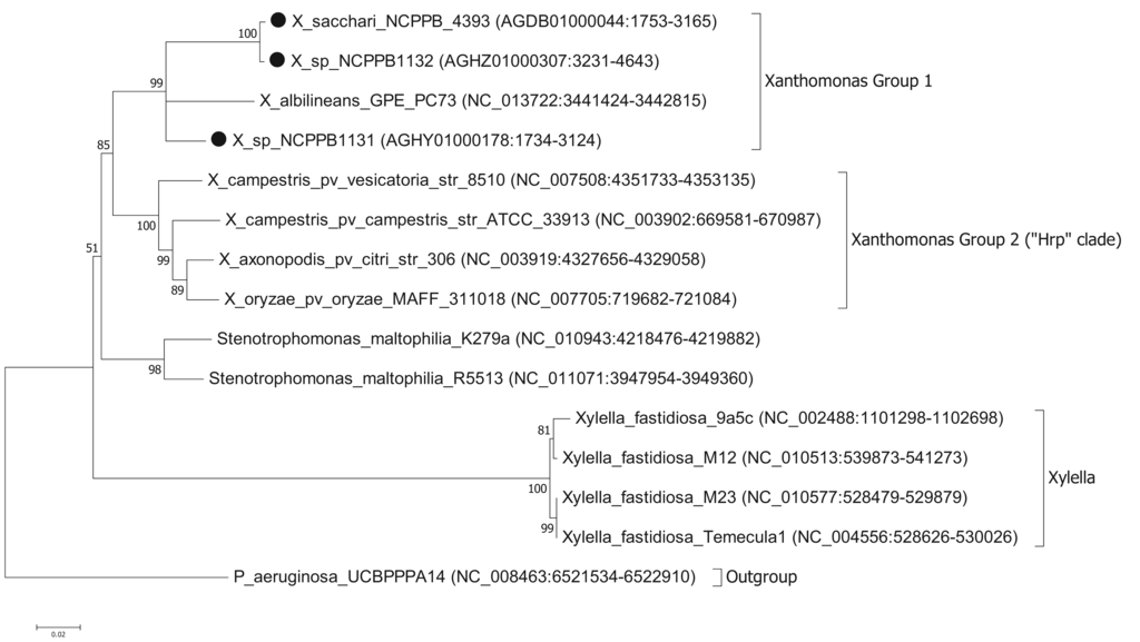 Genes 02 01050f1 1024
