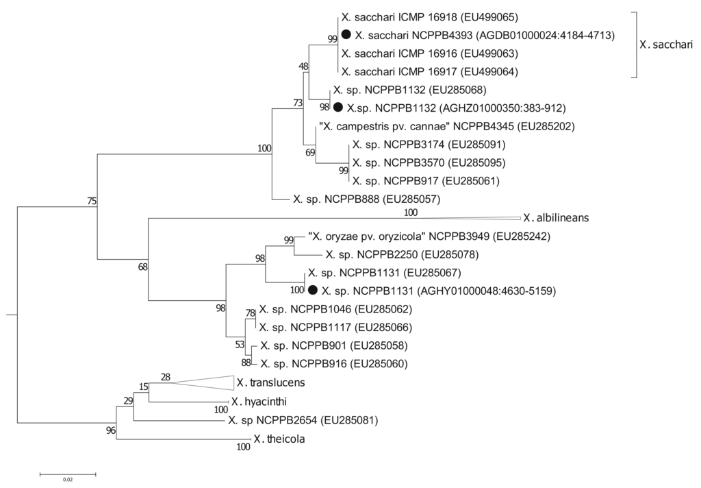 Genes 02 01050f2 1024