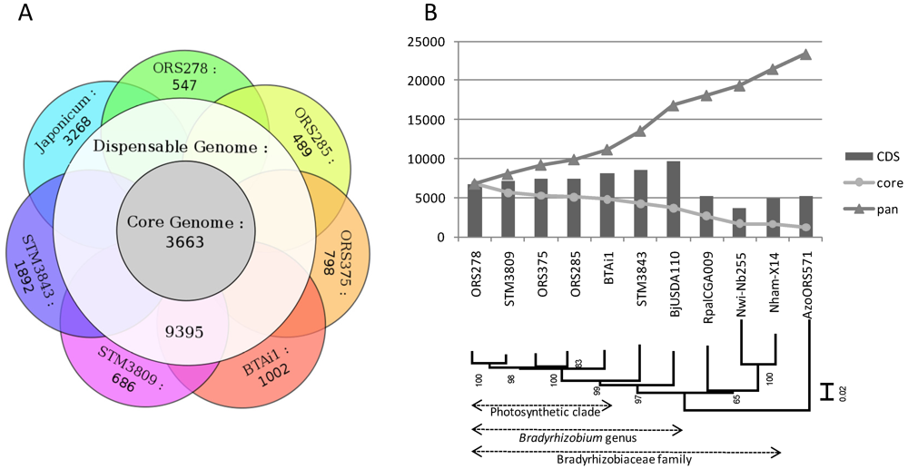 Genes 03 00035 g002 1024