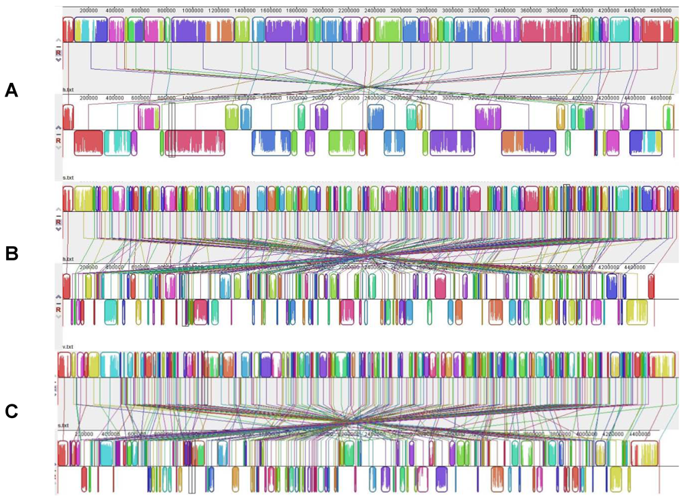 Genes 03 00191 g001 1024