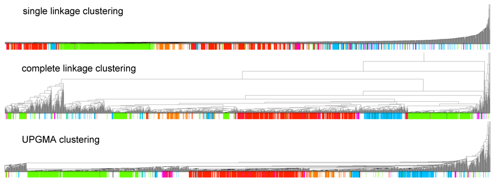 Genes 03 00378 g001