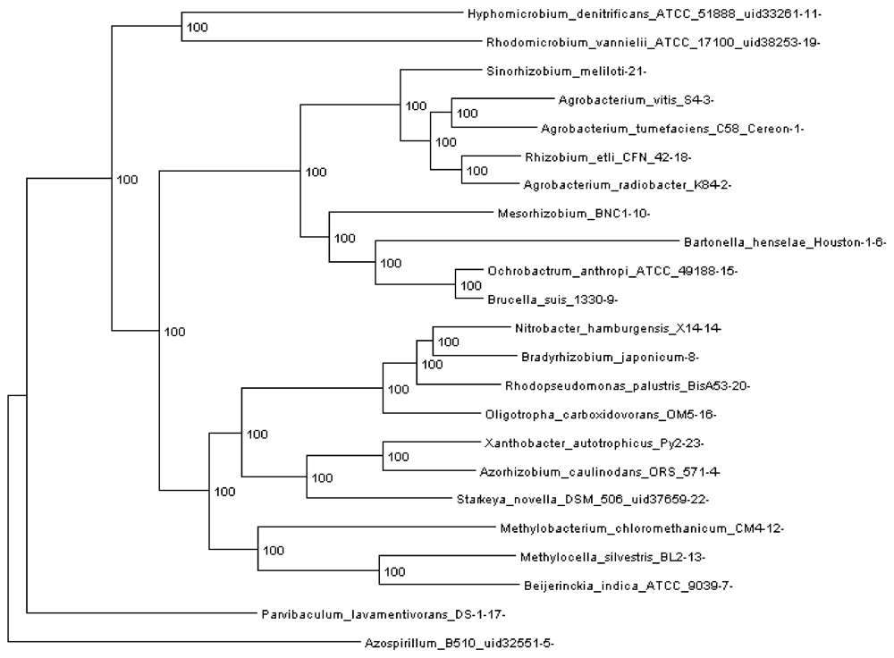 Genes 03 00423 g003