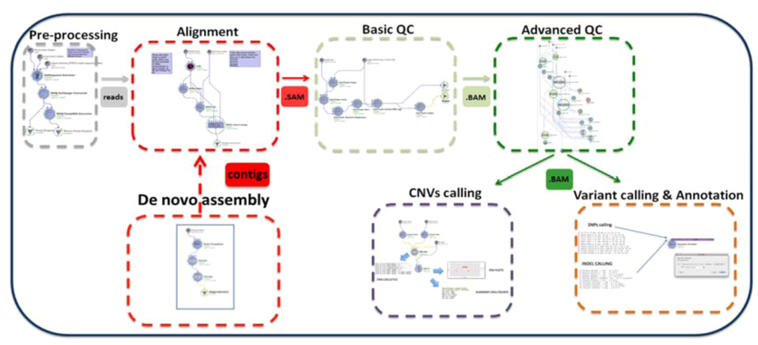 next generation sequence analysis