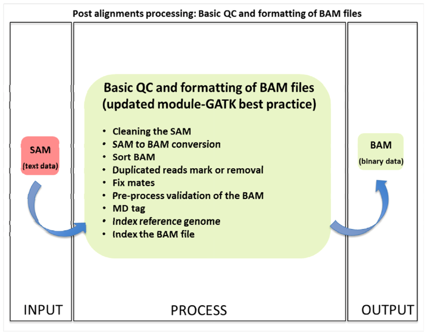 next generation sequence analysis next generation sequence analysis