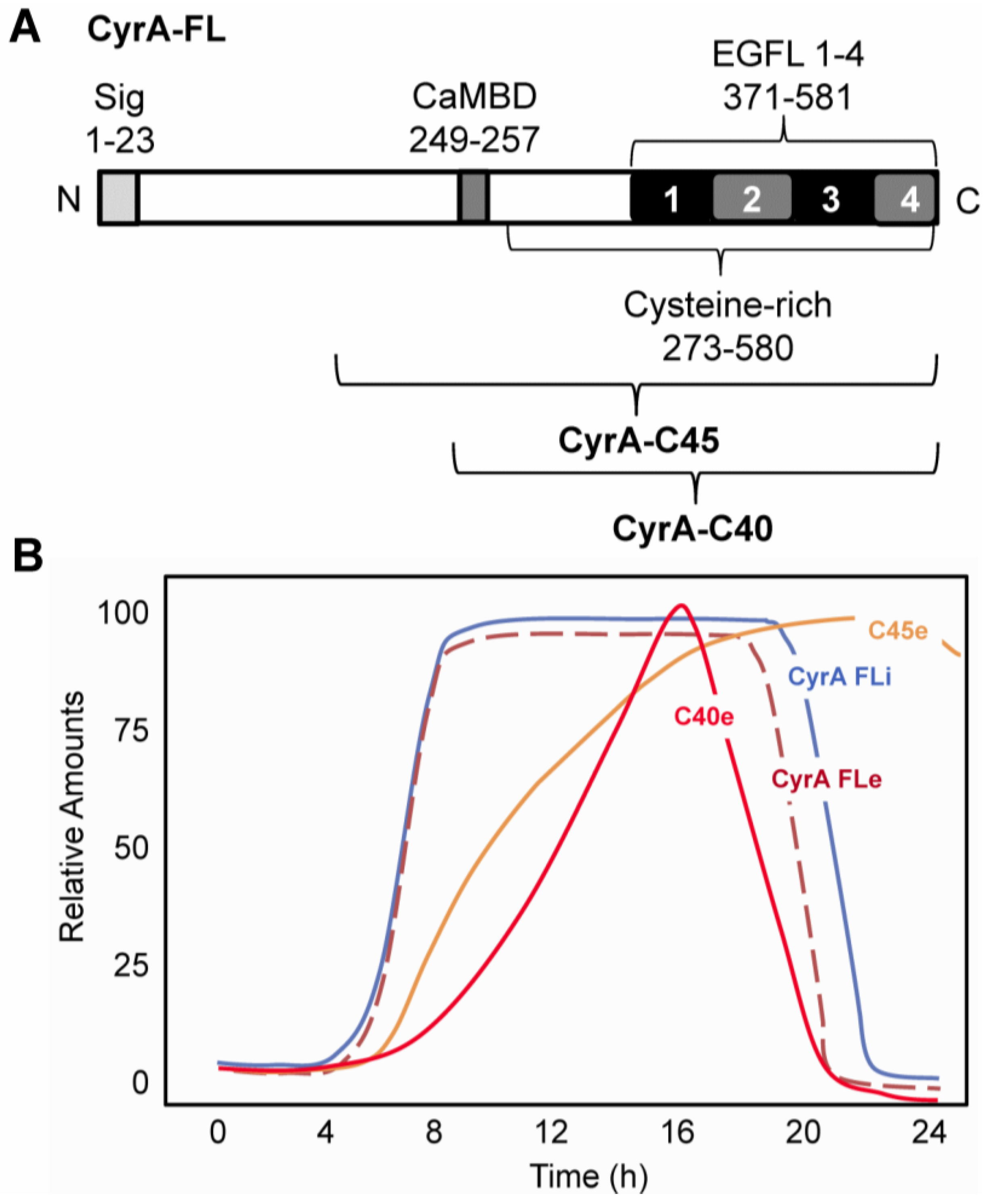 Genes 04 00033 g001