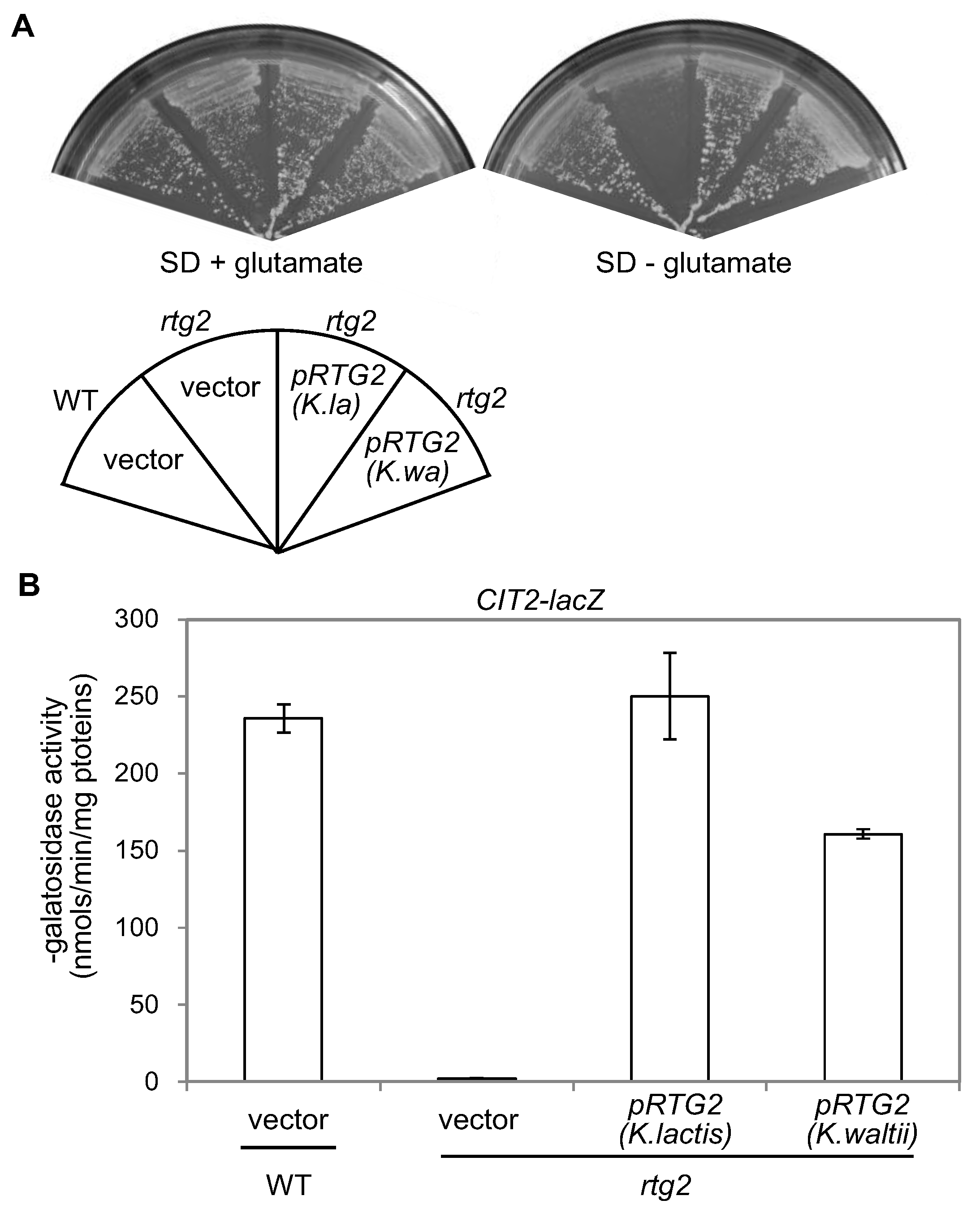 Genes 04 00086 g003 550