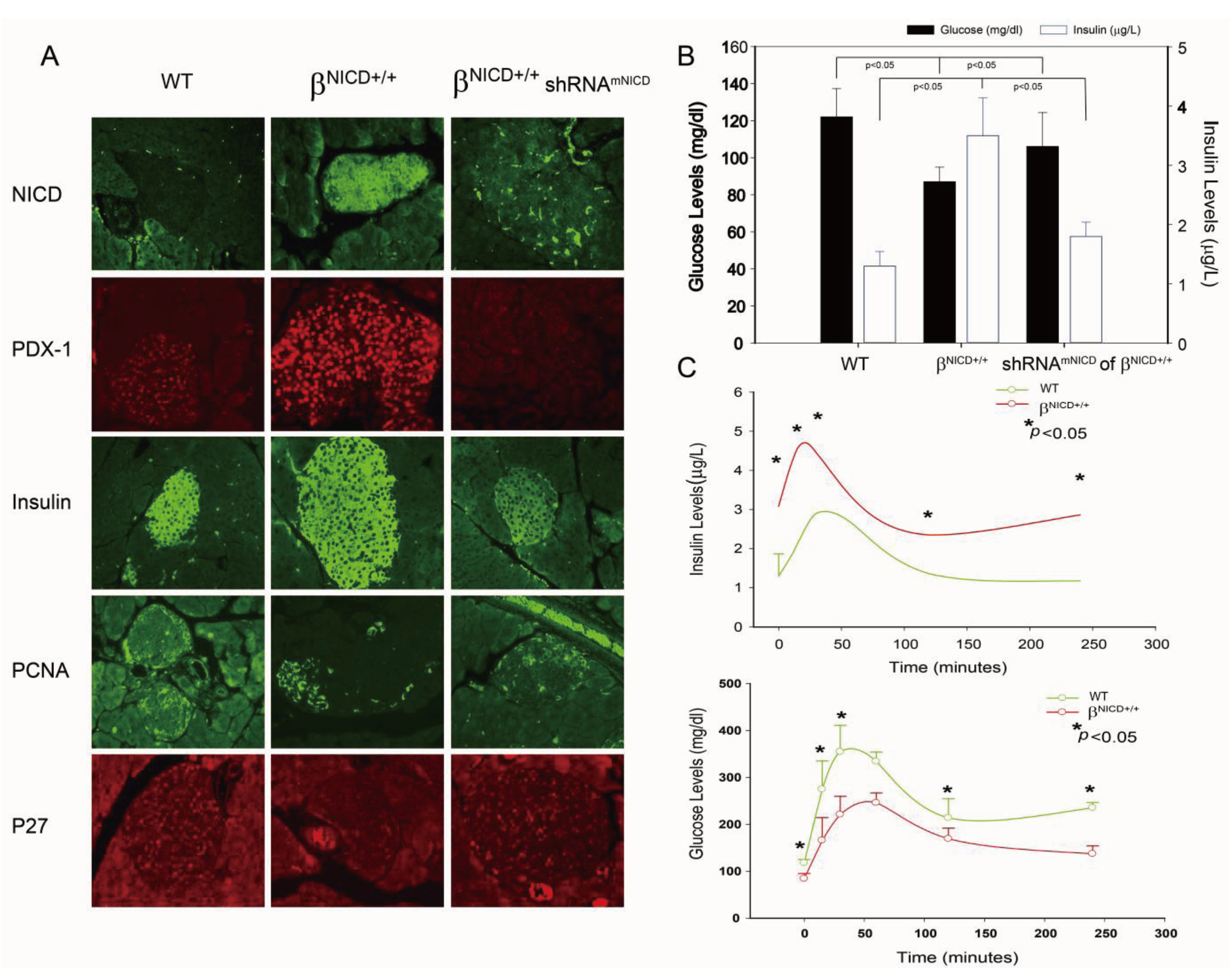 Genes 04 00358 g003 550