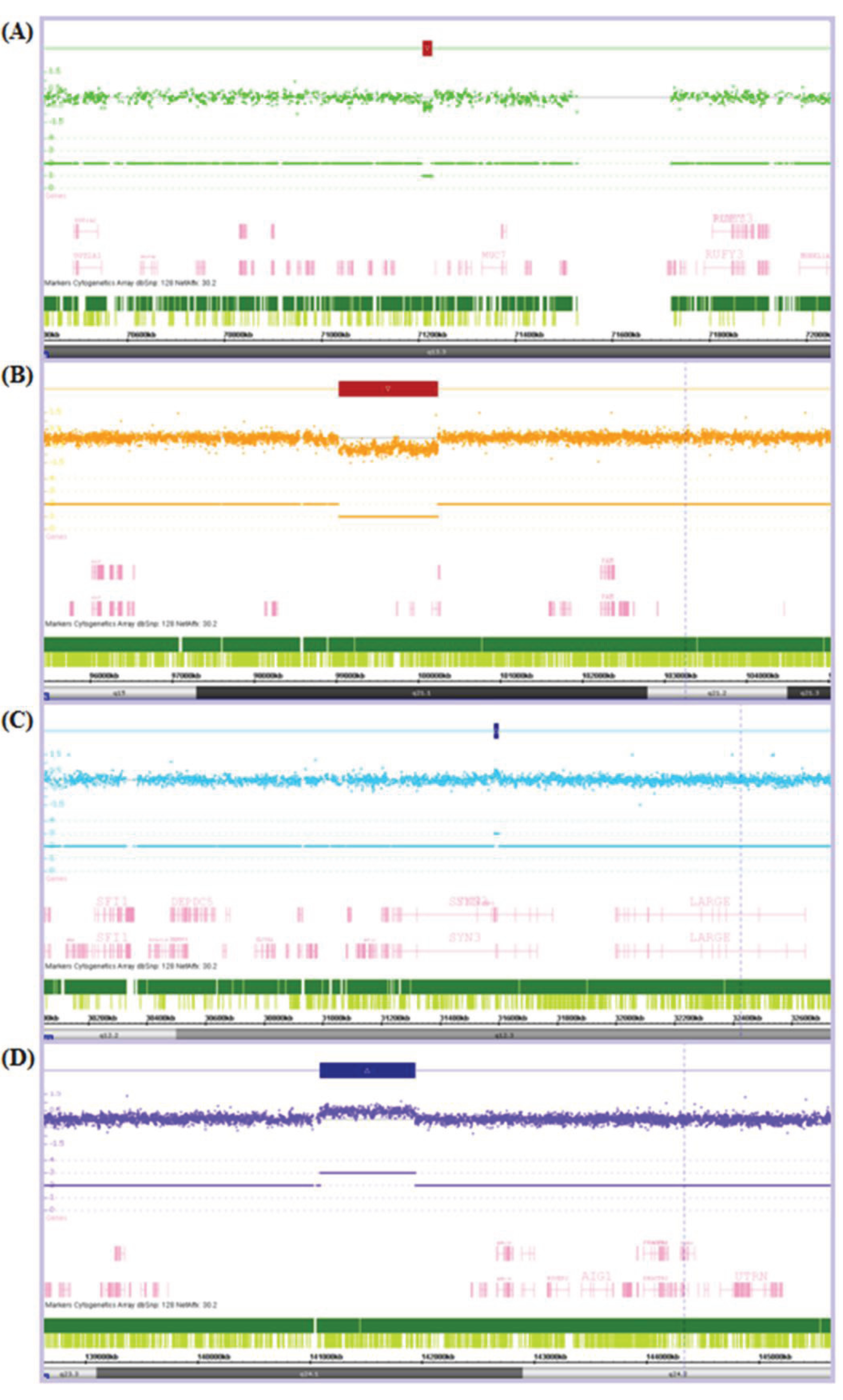 Genes 04 00536 g001