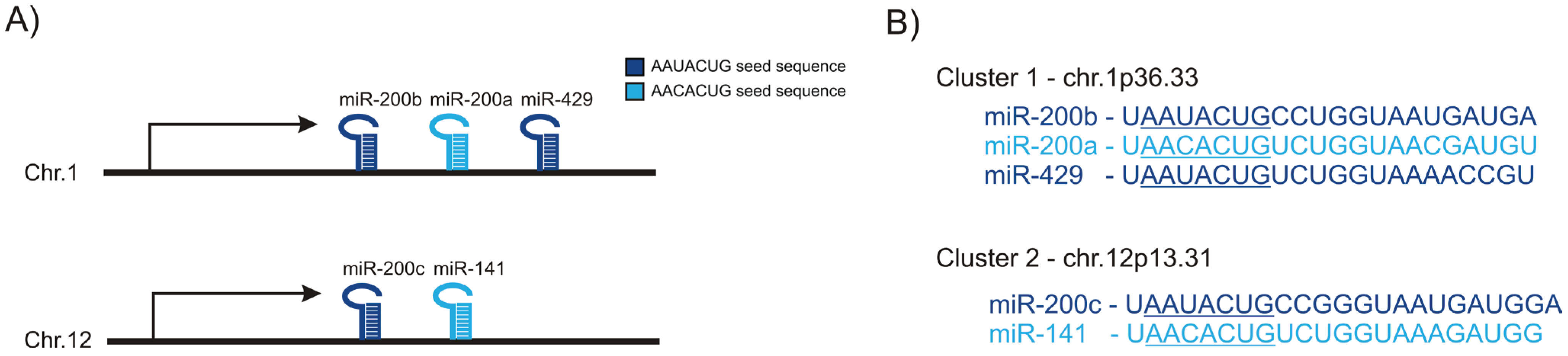 Genes 05 00804 g001