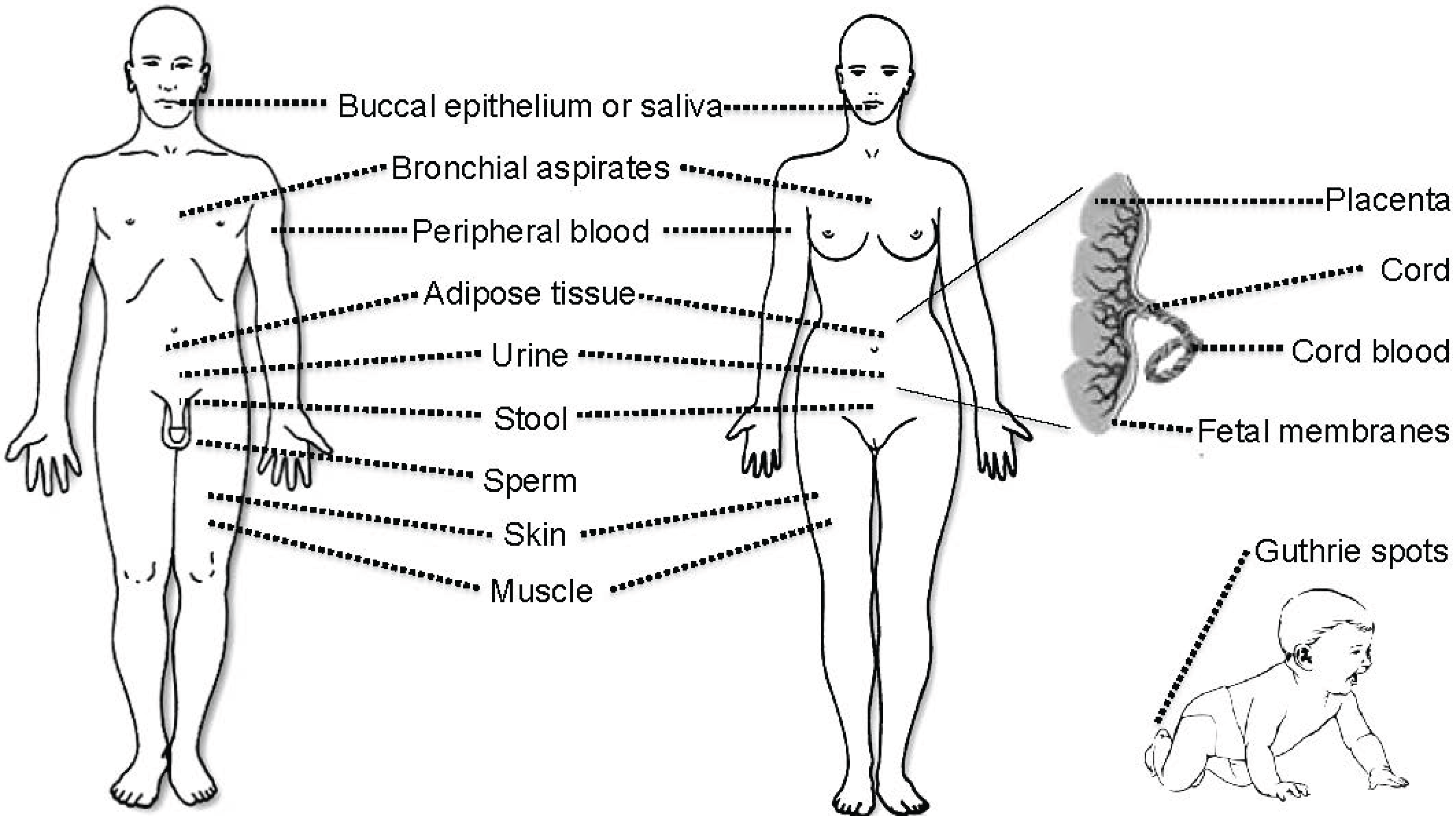 Genes 05 00821 g001