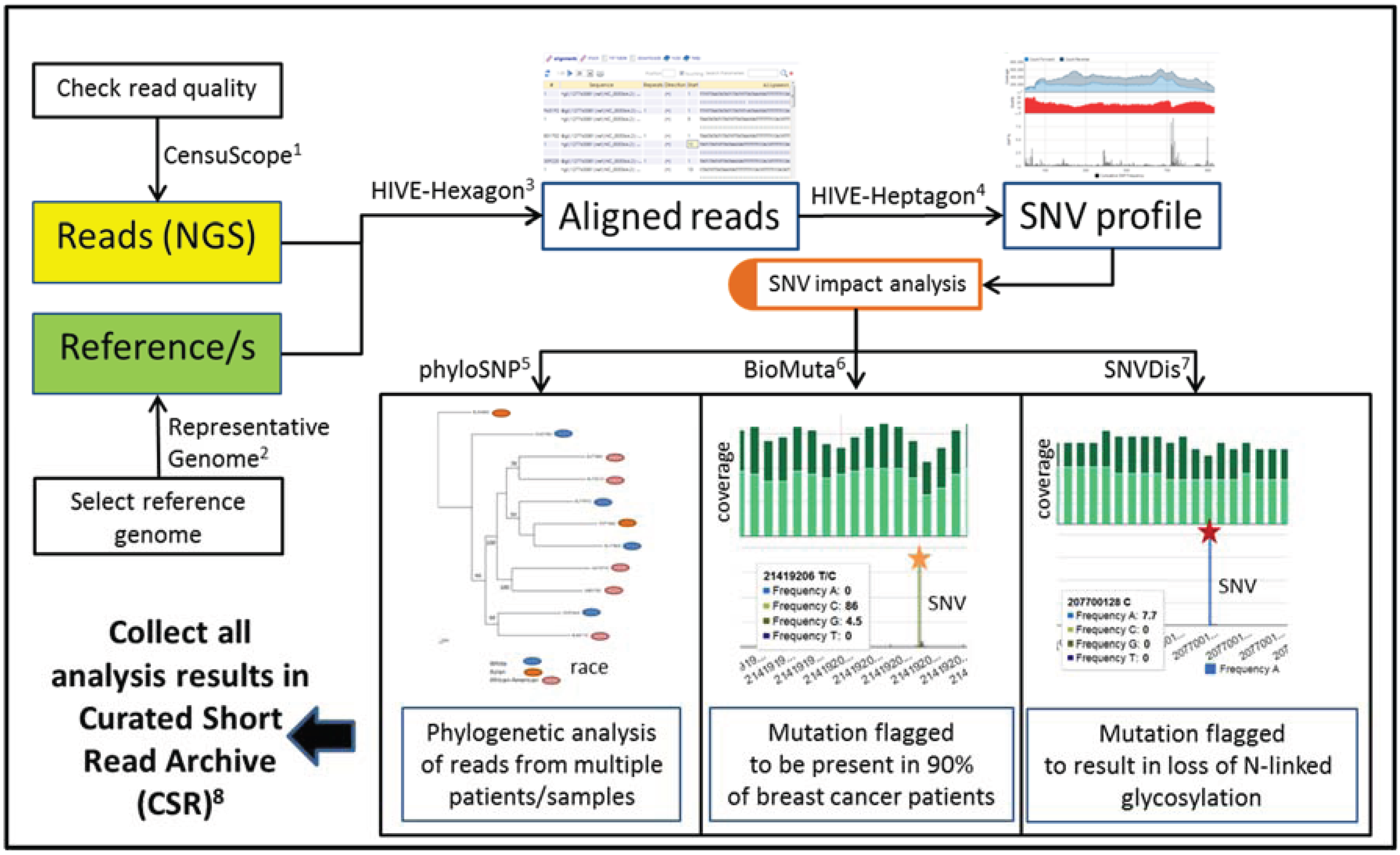 Genes 05 00957 g006