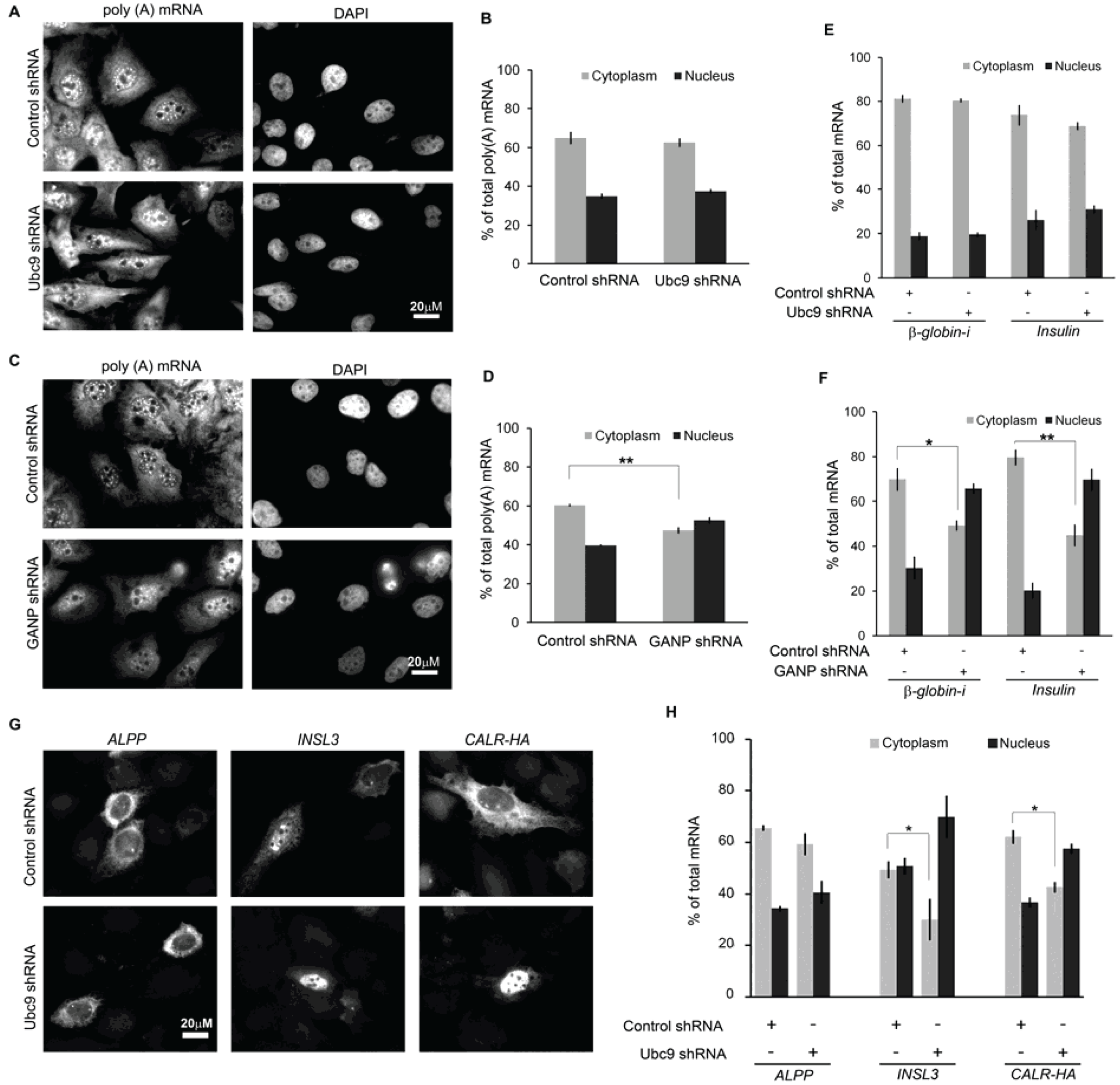 Genes 05 00982 g002 550