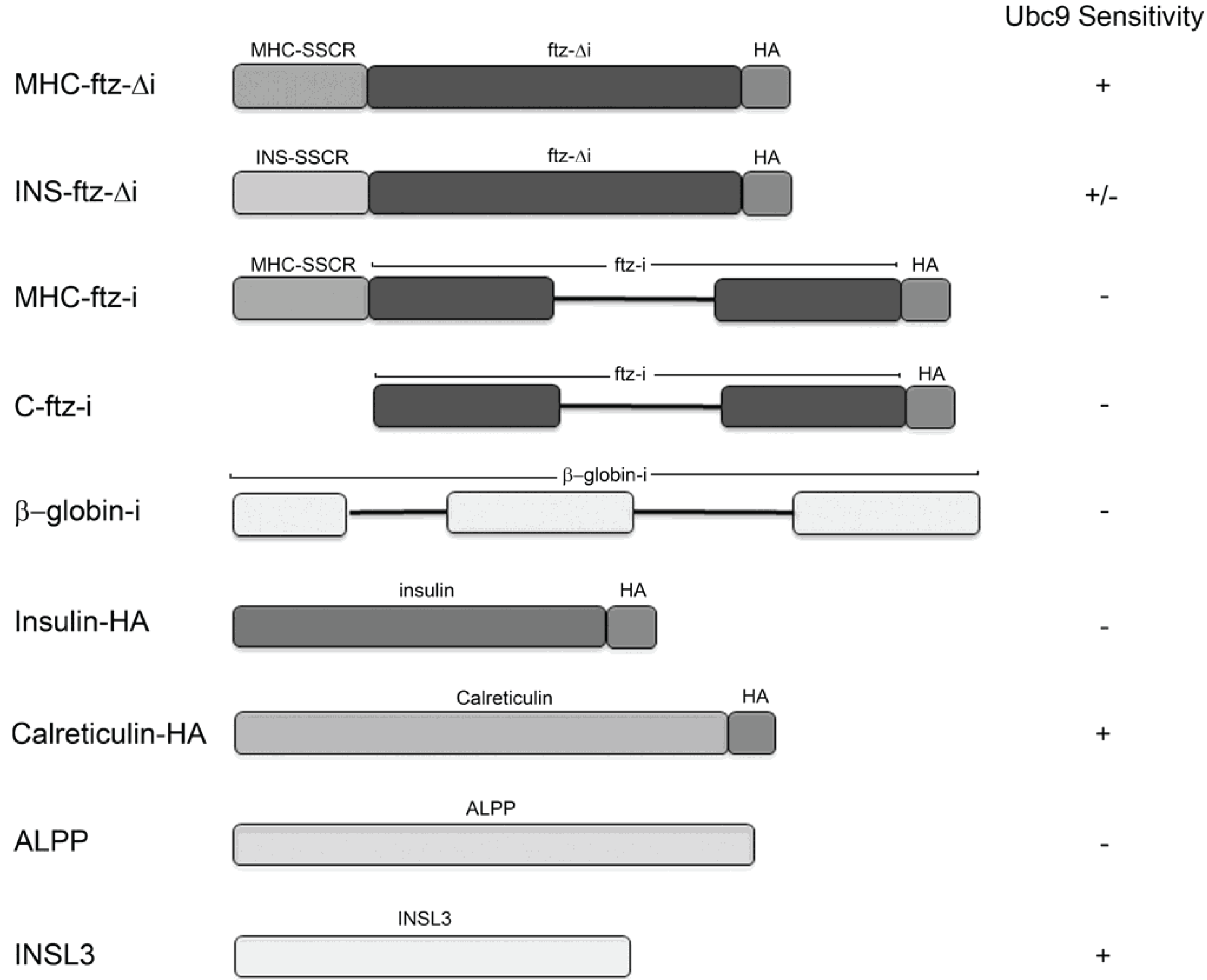Genes 05 00982 g006 550