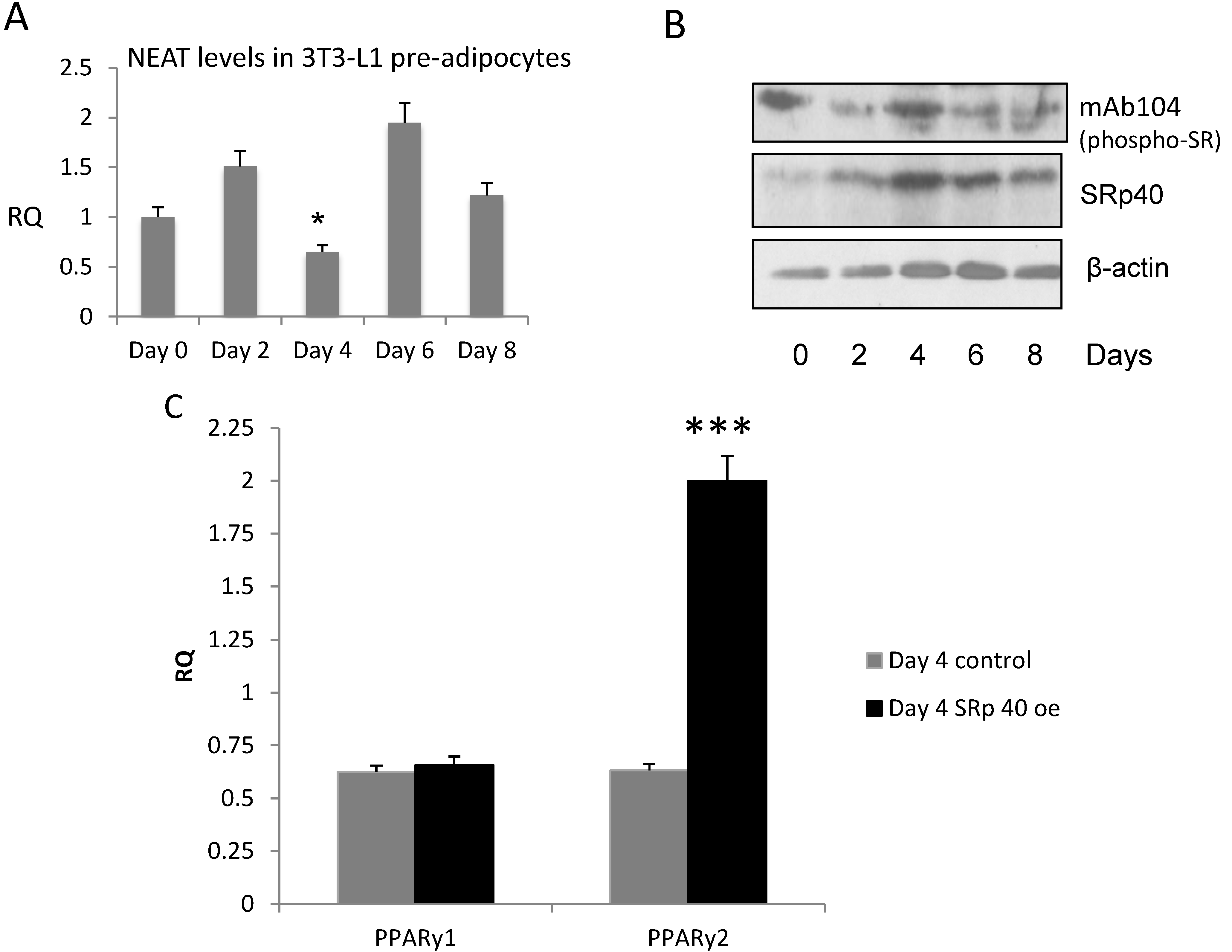 Genes 05 01050 g002