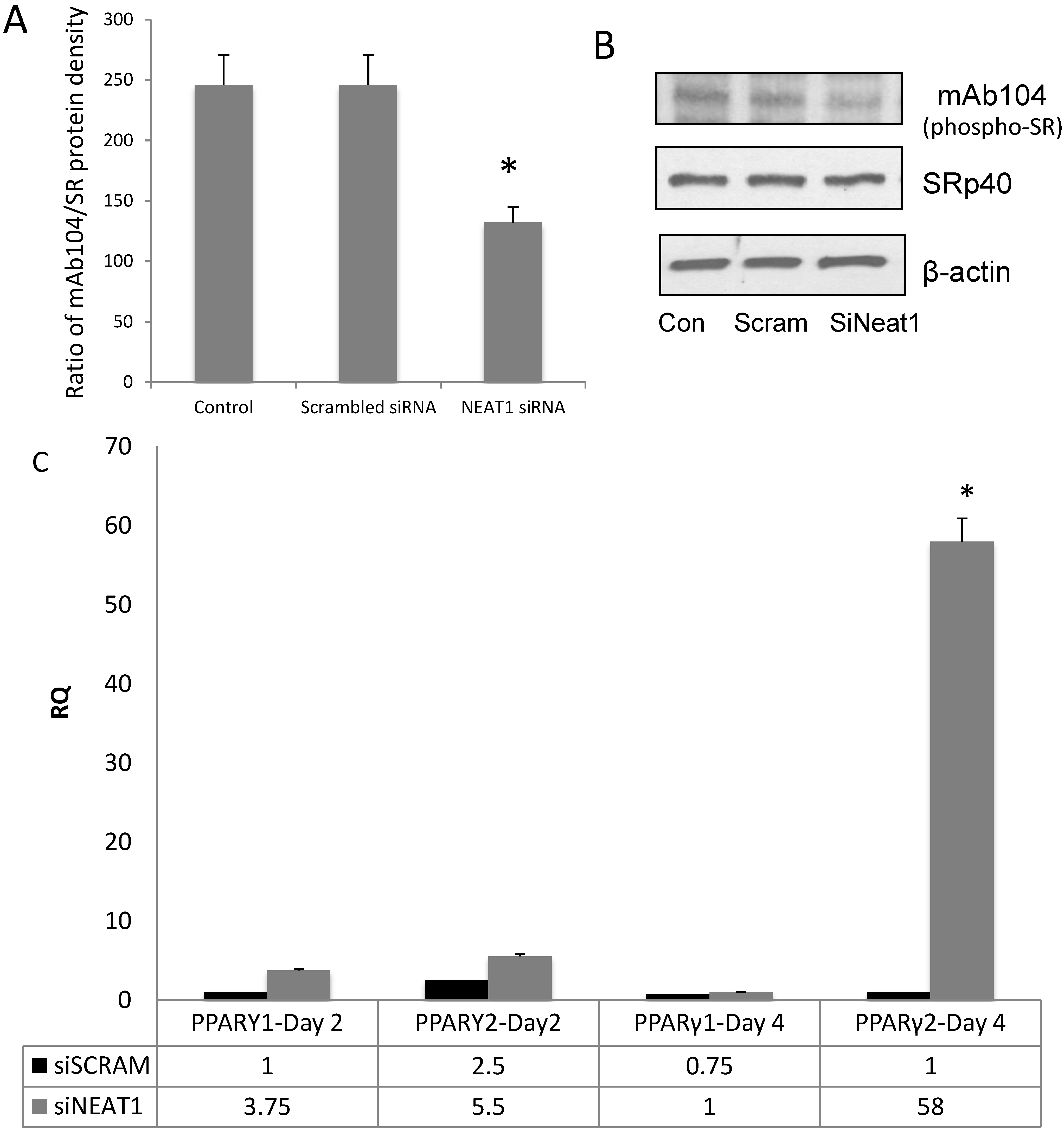 Genes 05 01050 g003