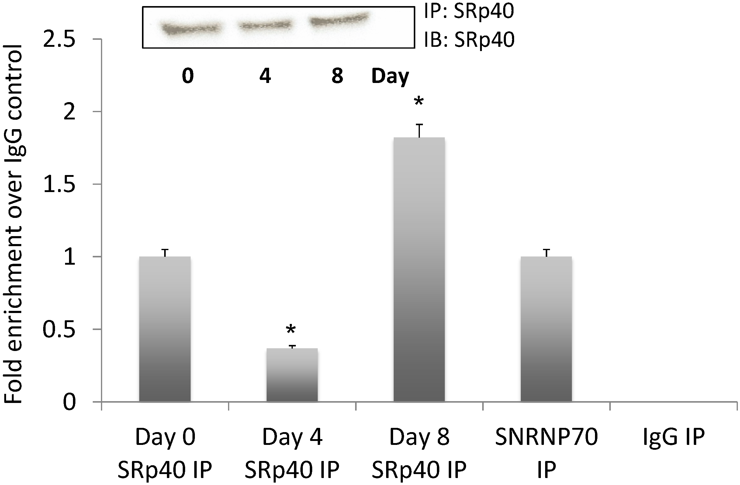 Genes 05 01050 g004