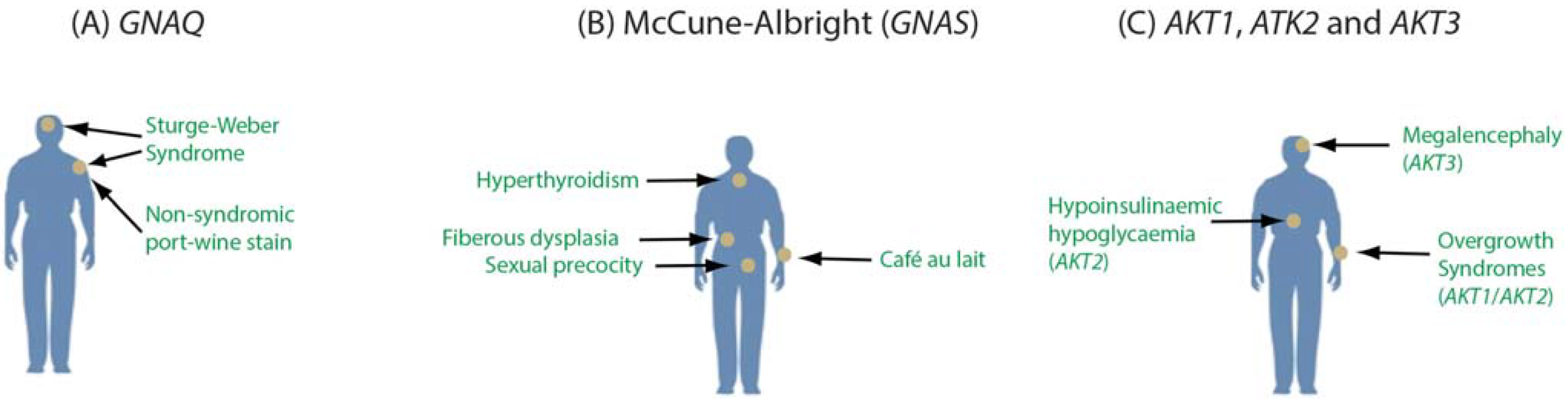 Genes 05 01064 g002