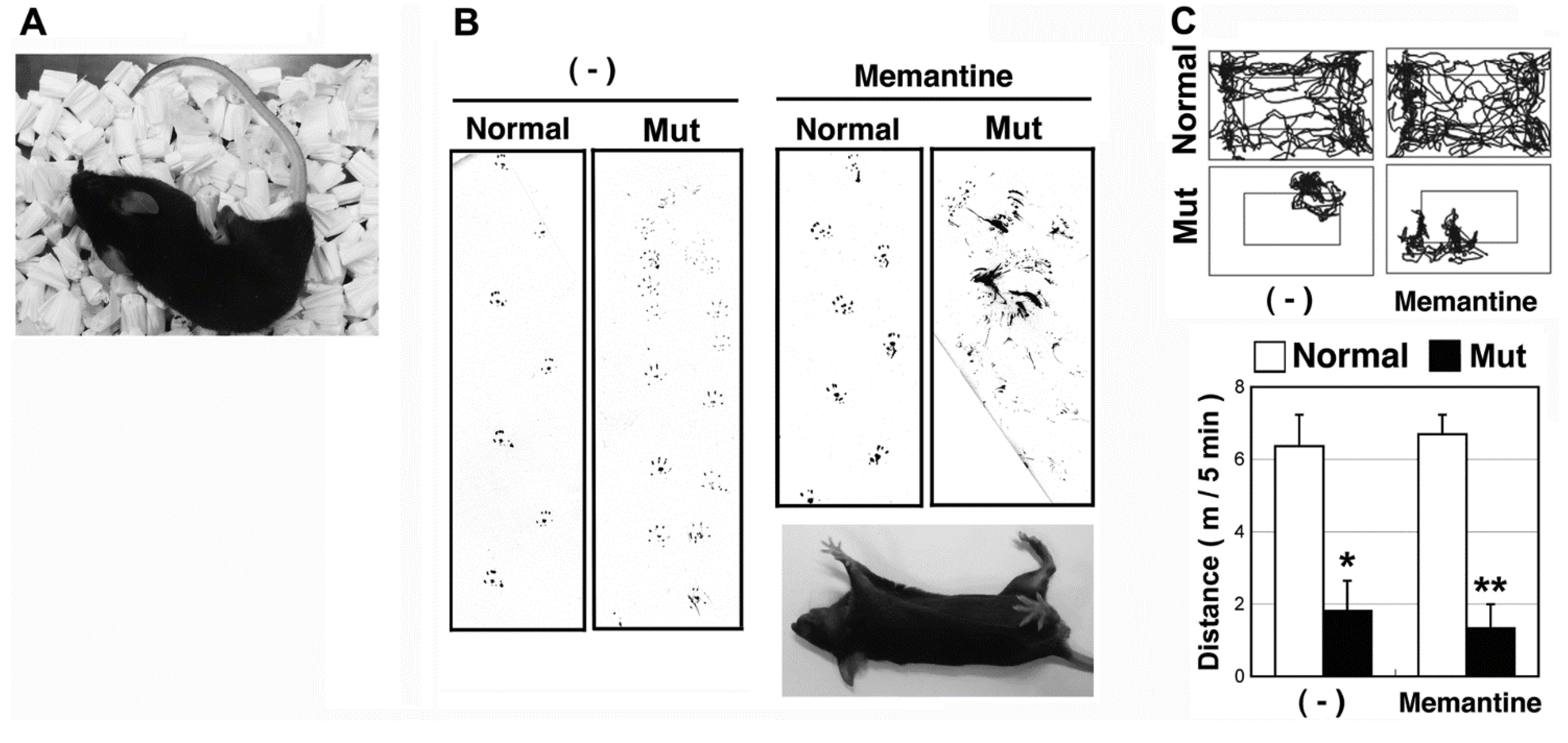 Genes 05 01095 g001