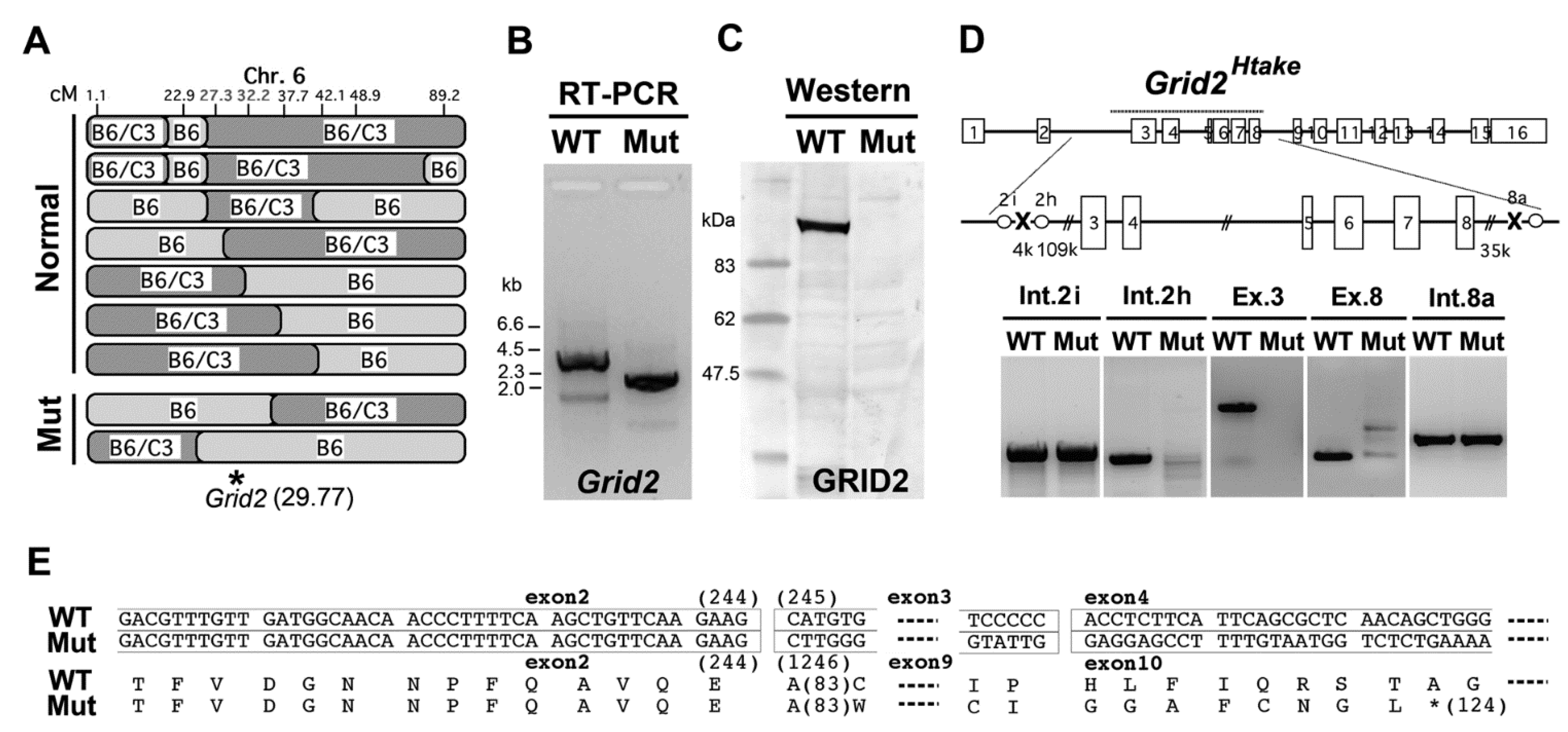 Genes 05 01095 g003