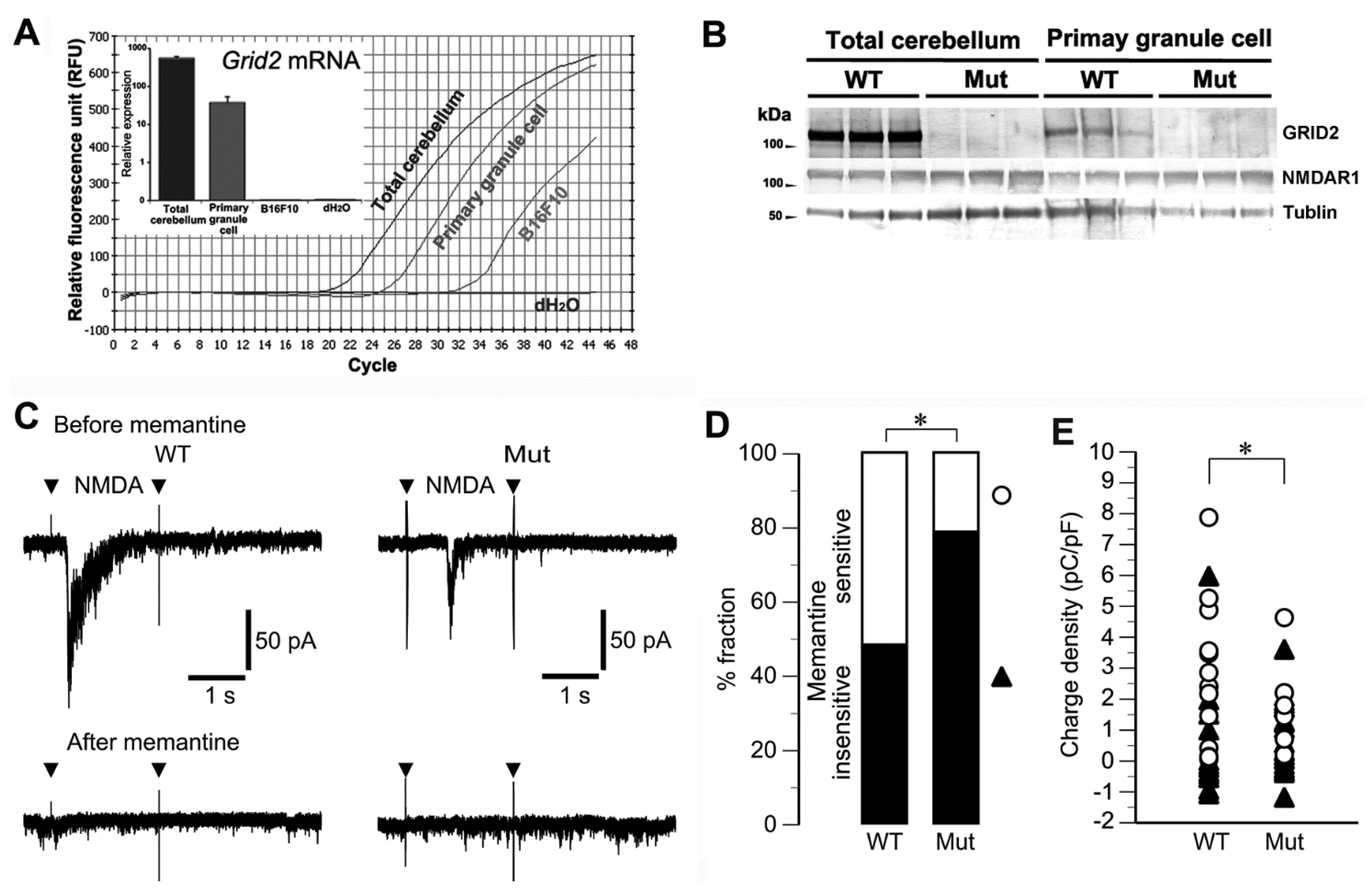 Genes 05 01095 g004