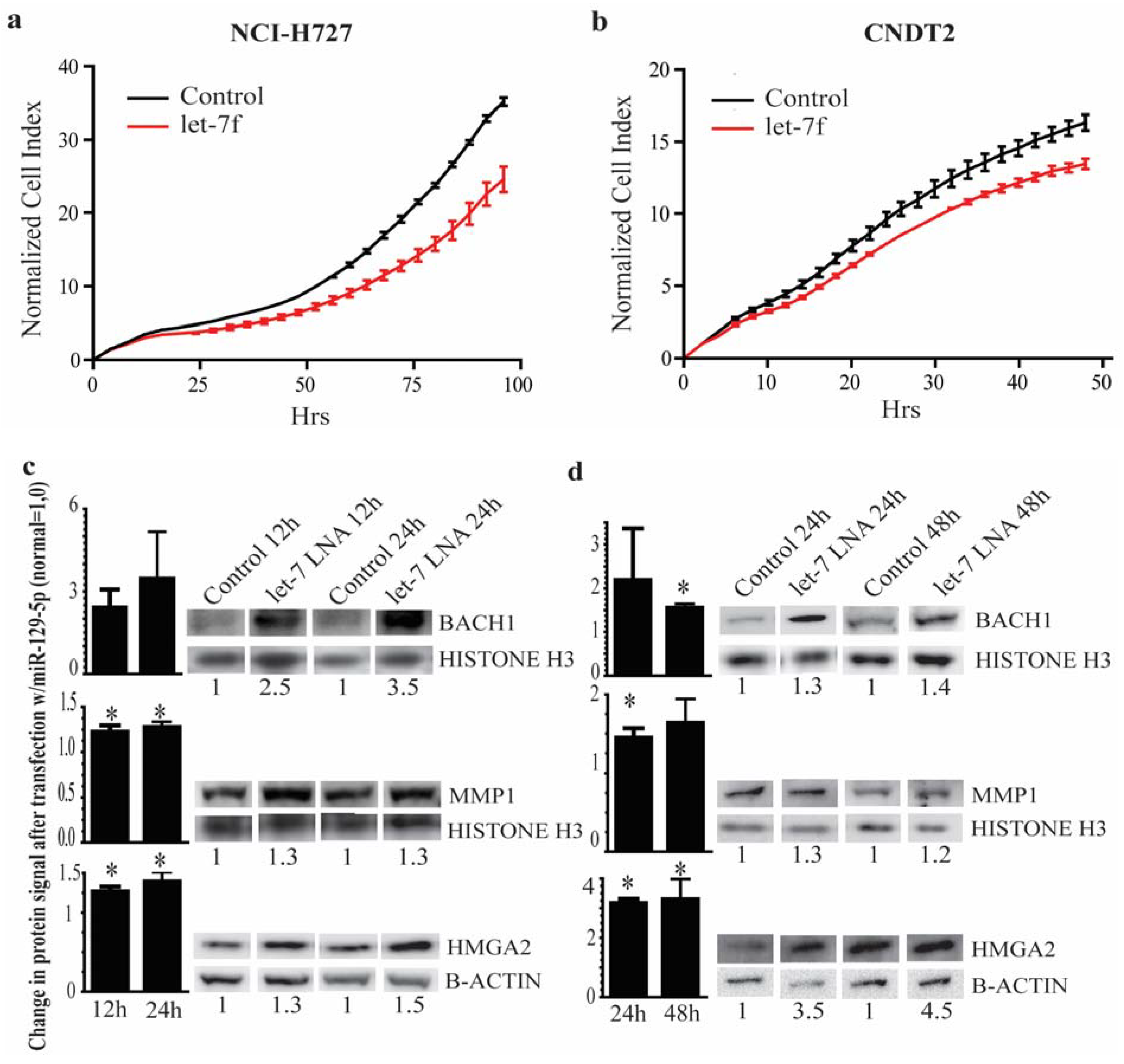 Genes 06 00001 g005a