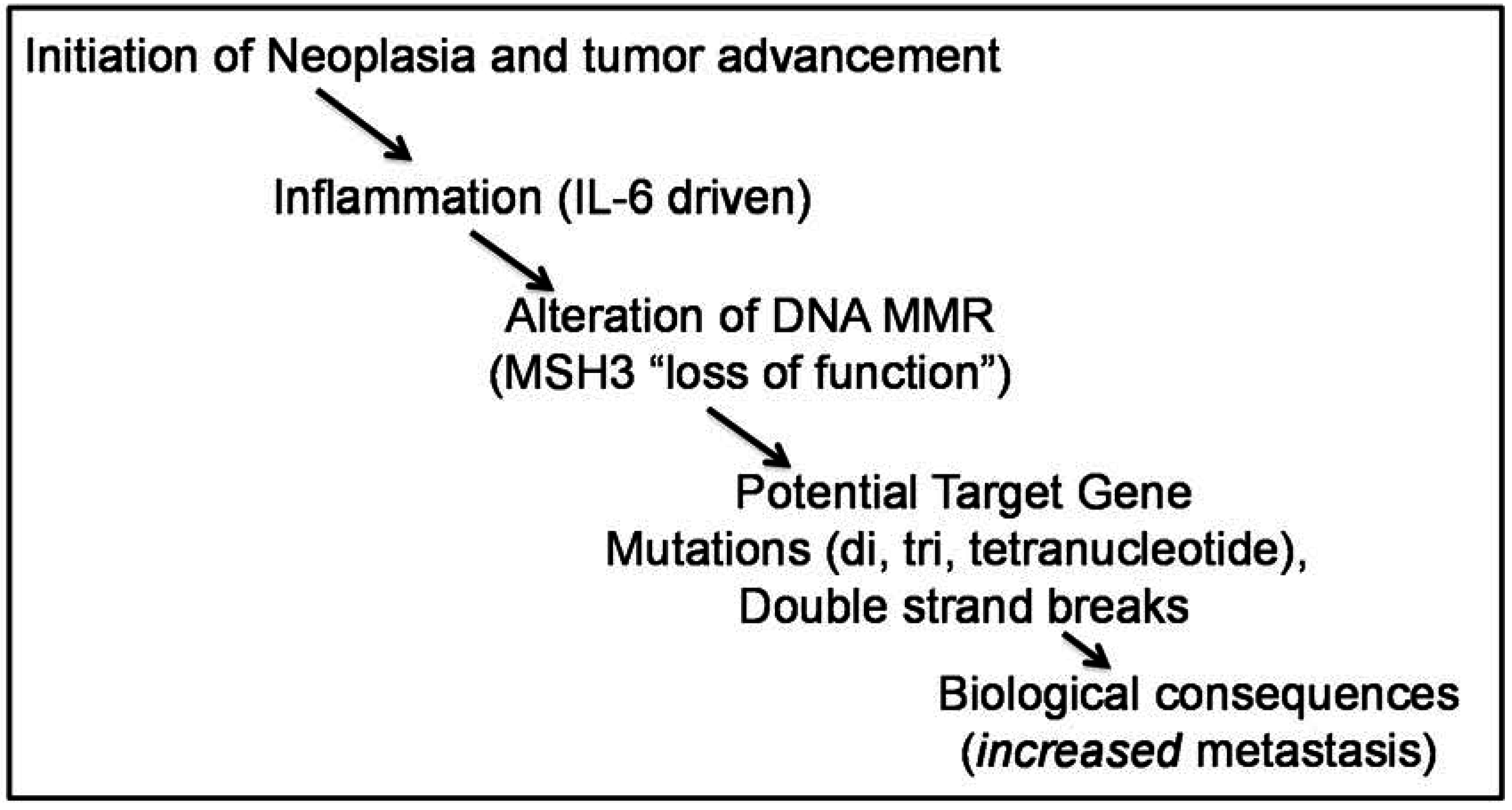 Genes 06 00185 g003