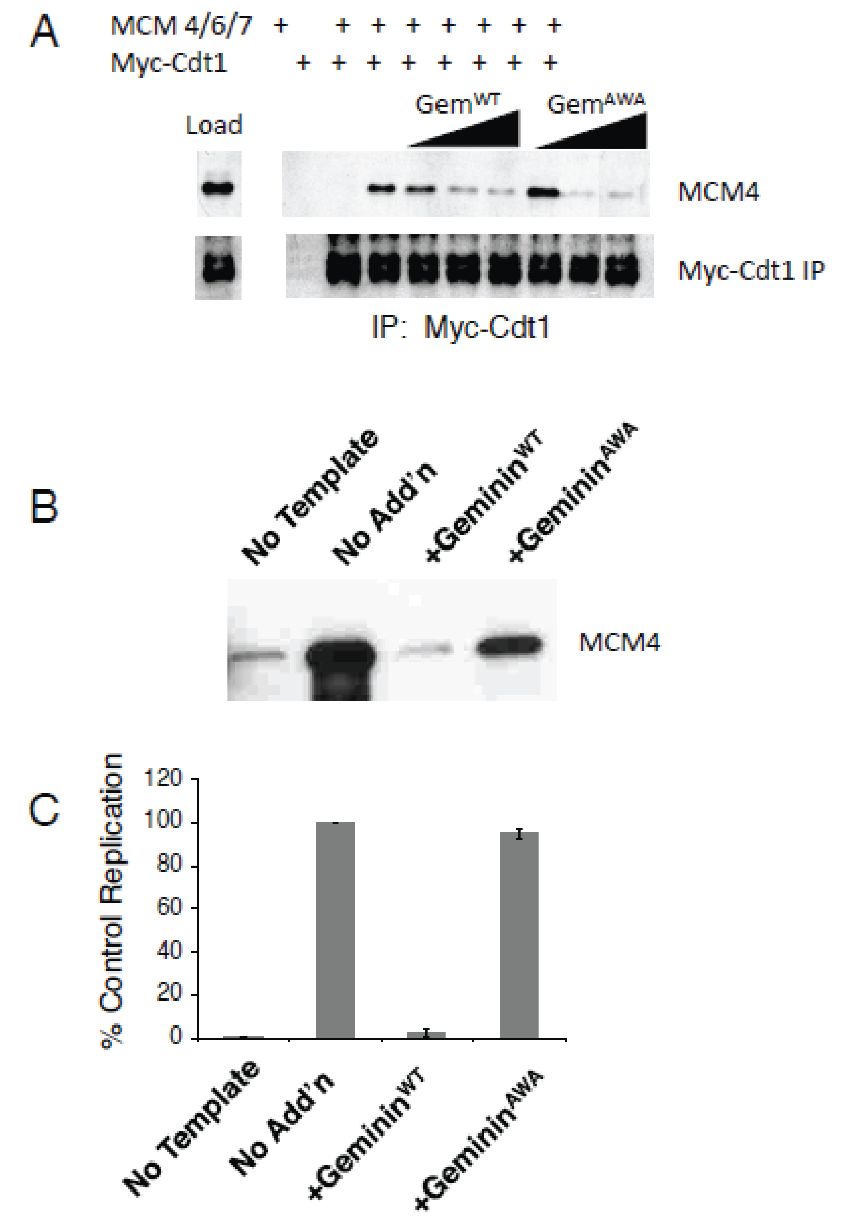 Genes 06 00252 g003