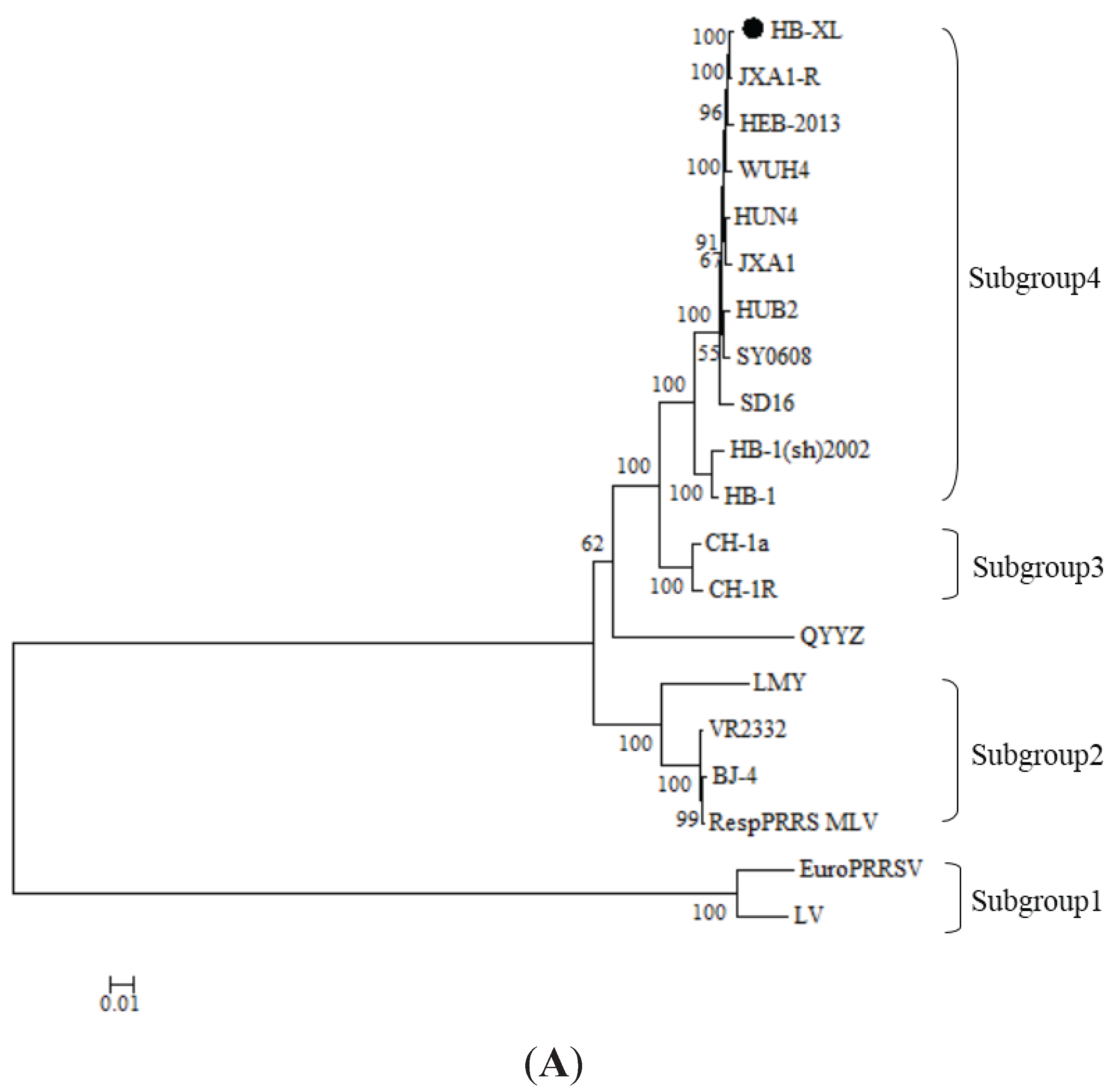Genes 06 00672 g002a 1024