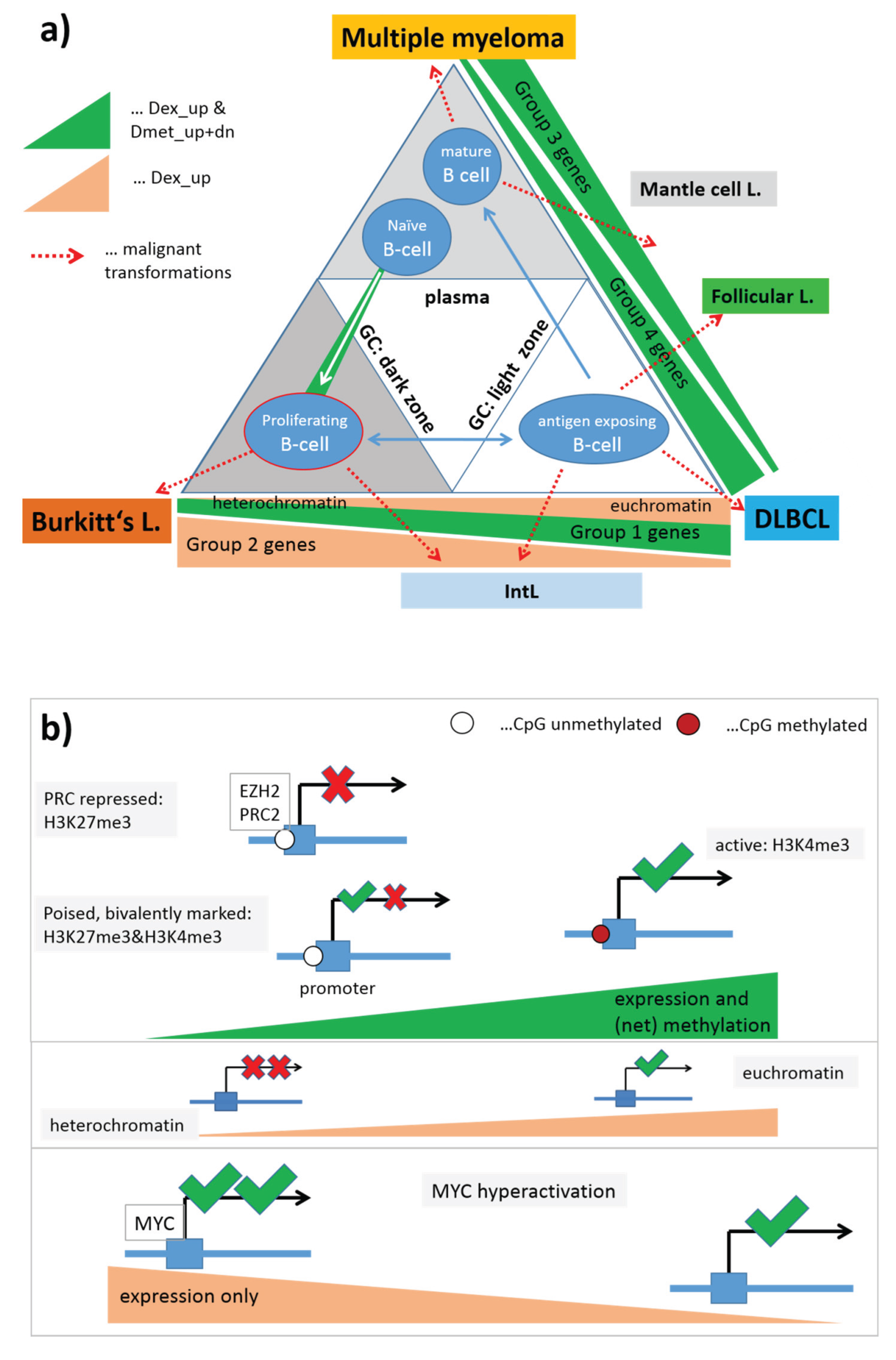 Genes, Free Full-Text